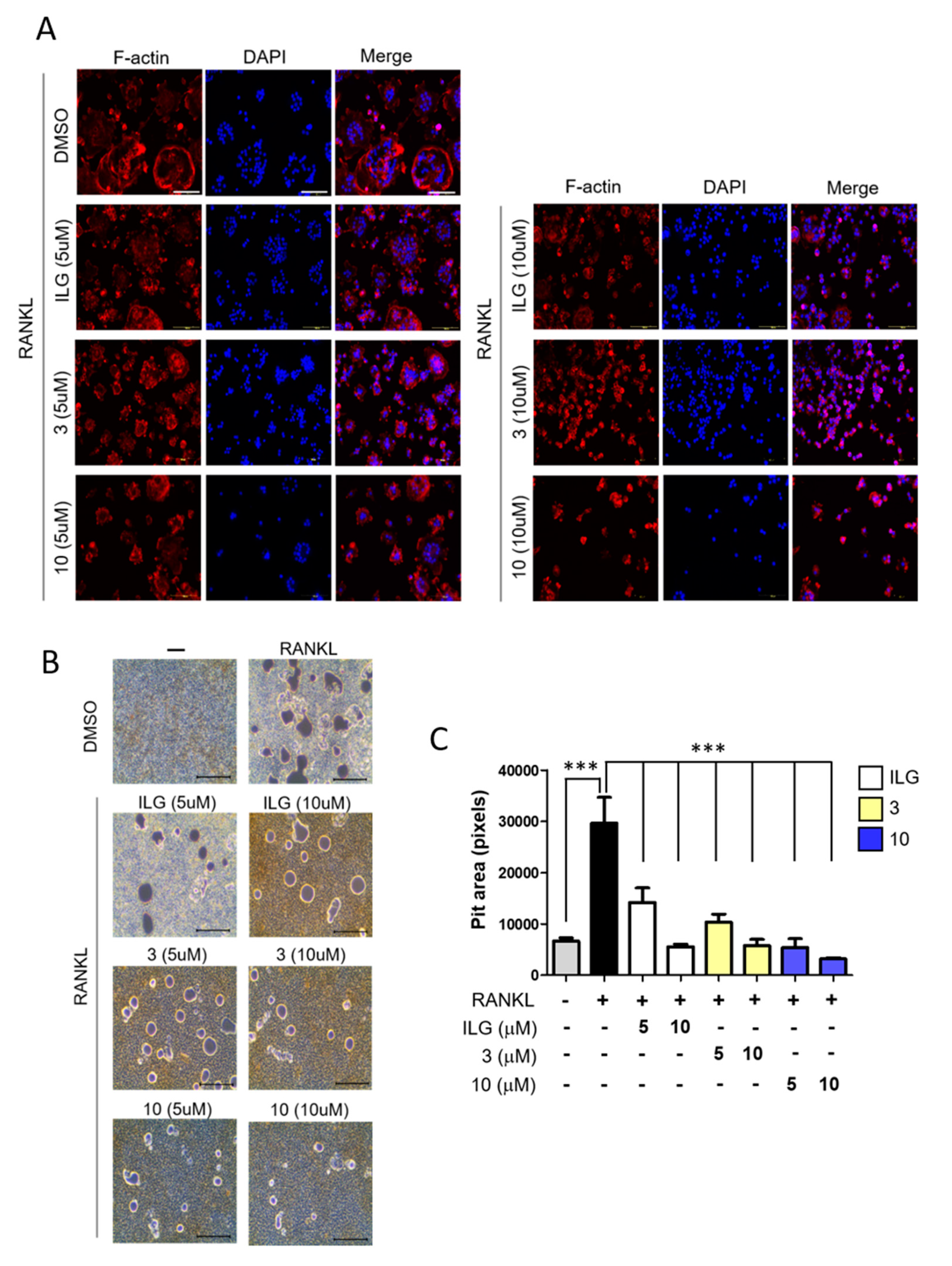Molecules 25 03908 g005 Molecules 25 03908 g005