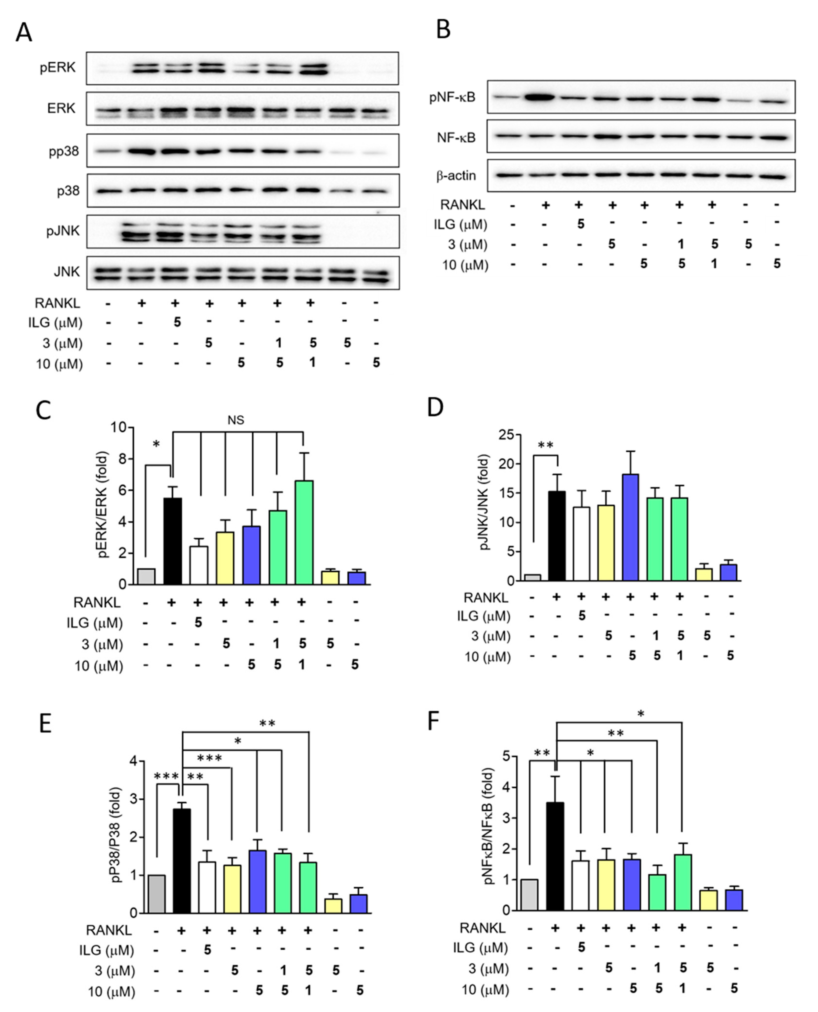 Molecules 25 03908 g007 Molecules 25 03908 g007