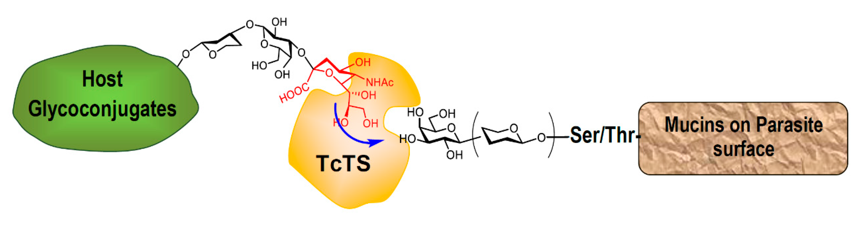 Molecules 25 03913 g003