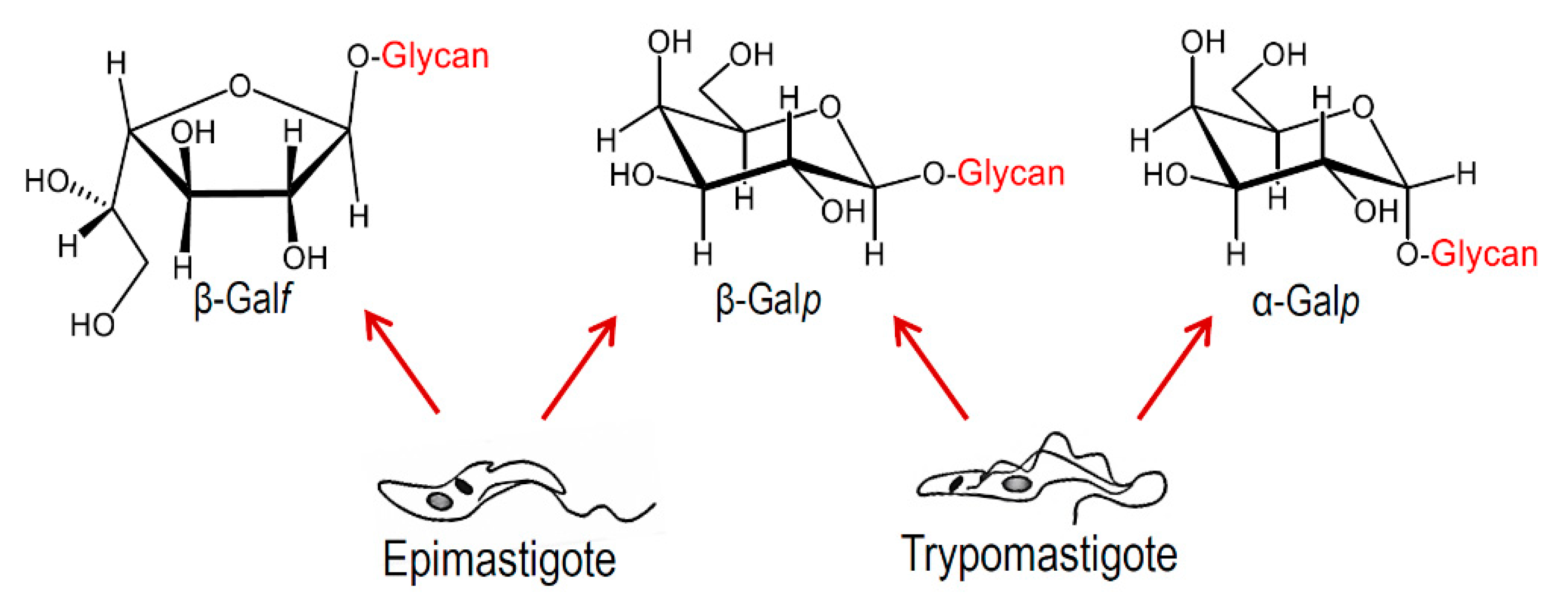 Molecules 25 03913 g004
