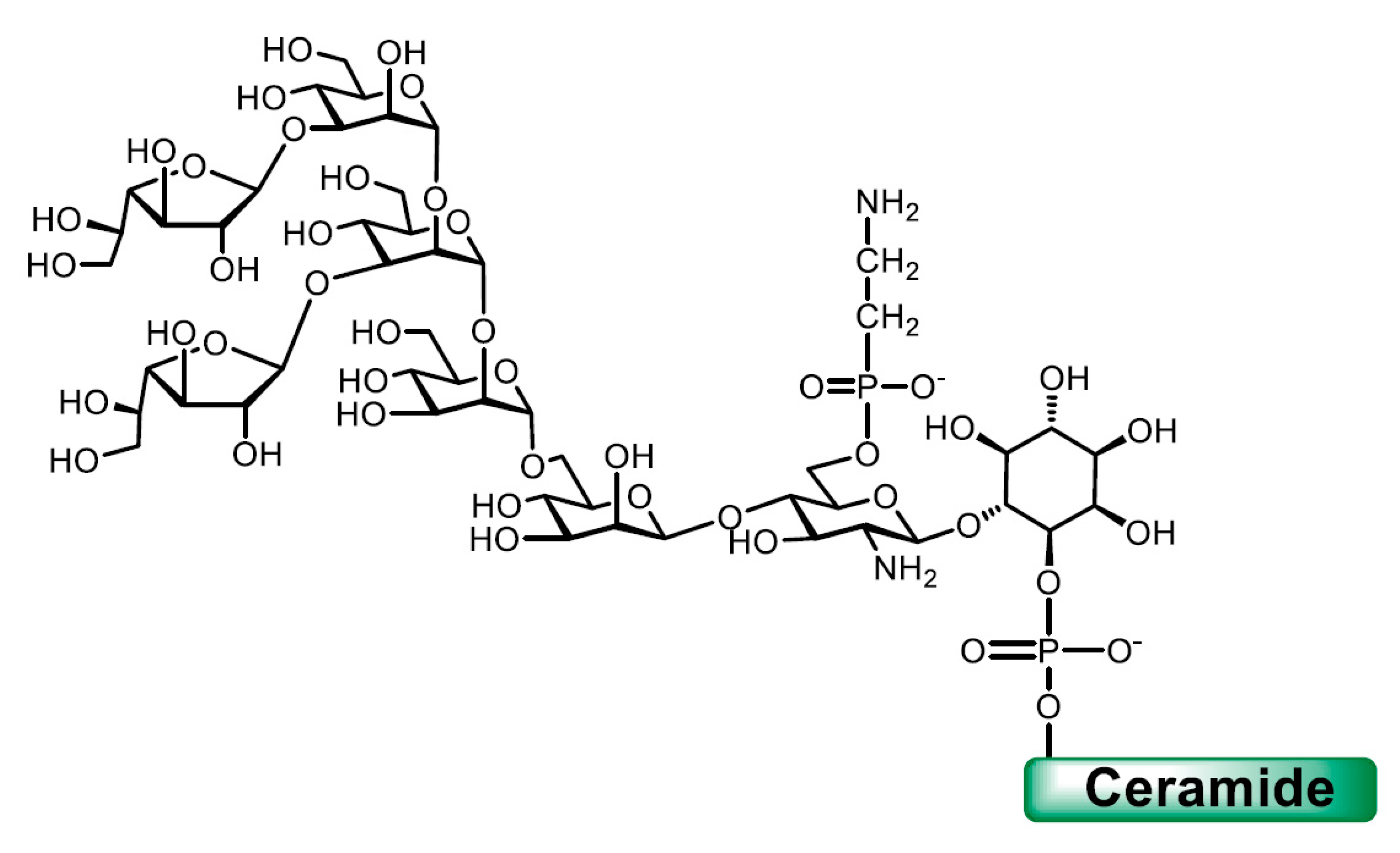 Molecules 25 03913 g005