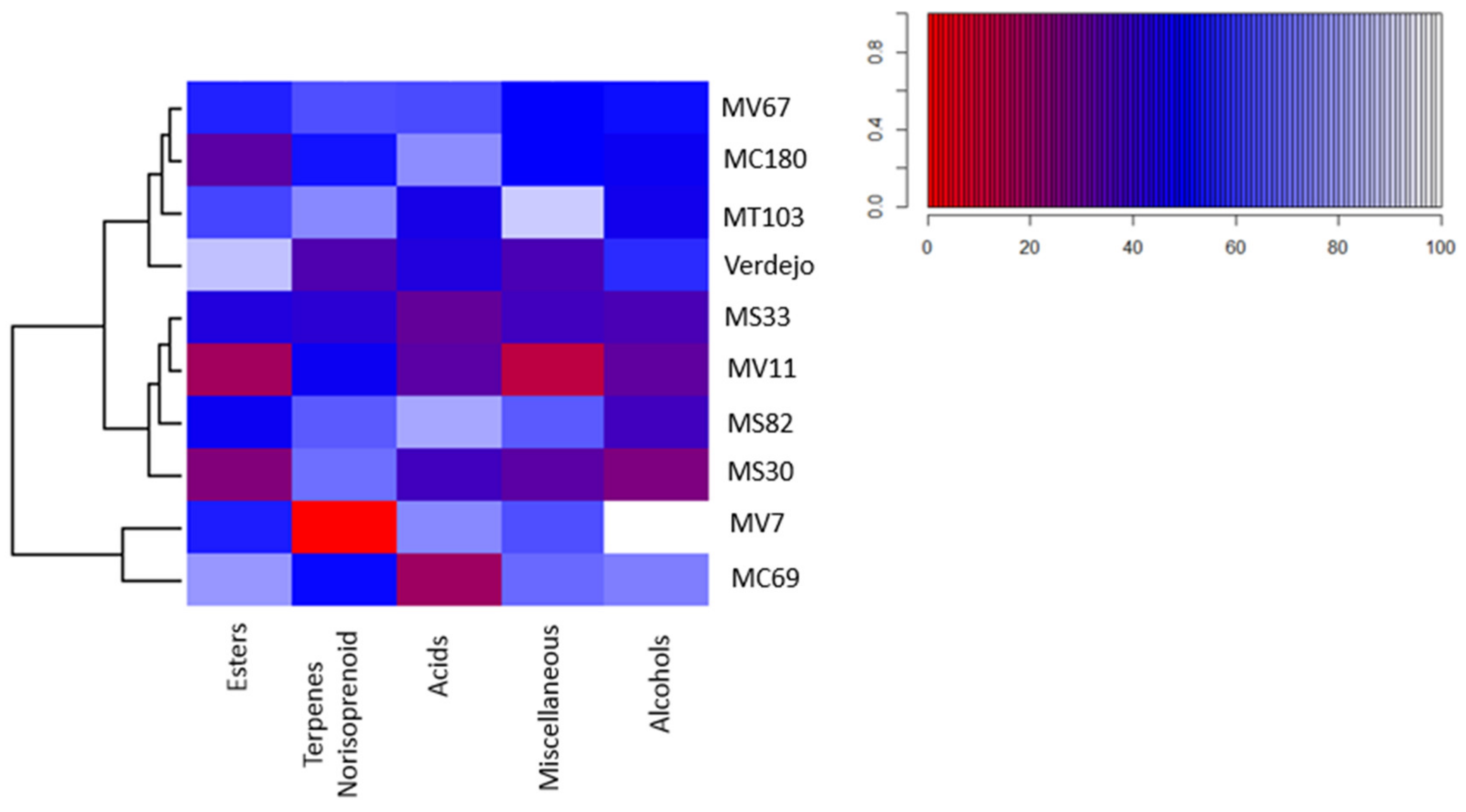Molecules 25 03917 g003