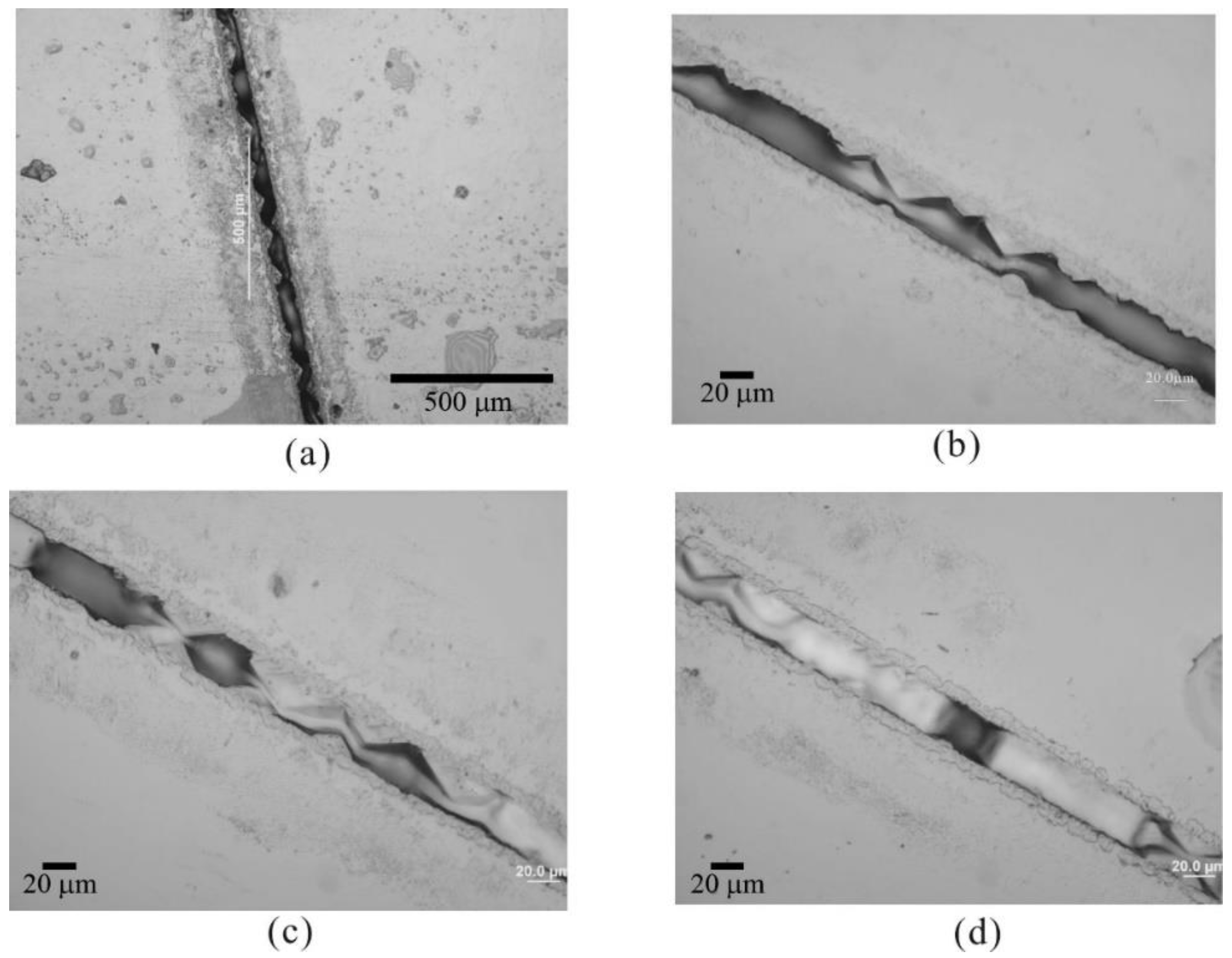 Molecules 25 03925 g006