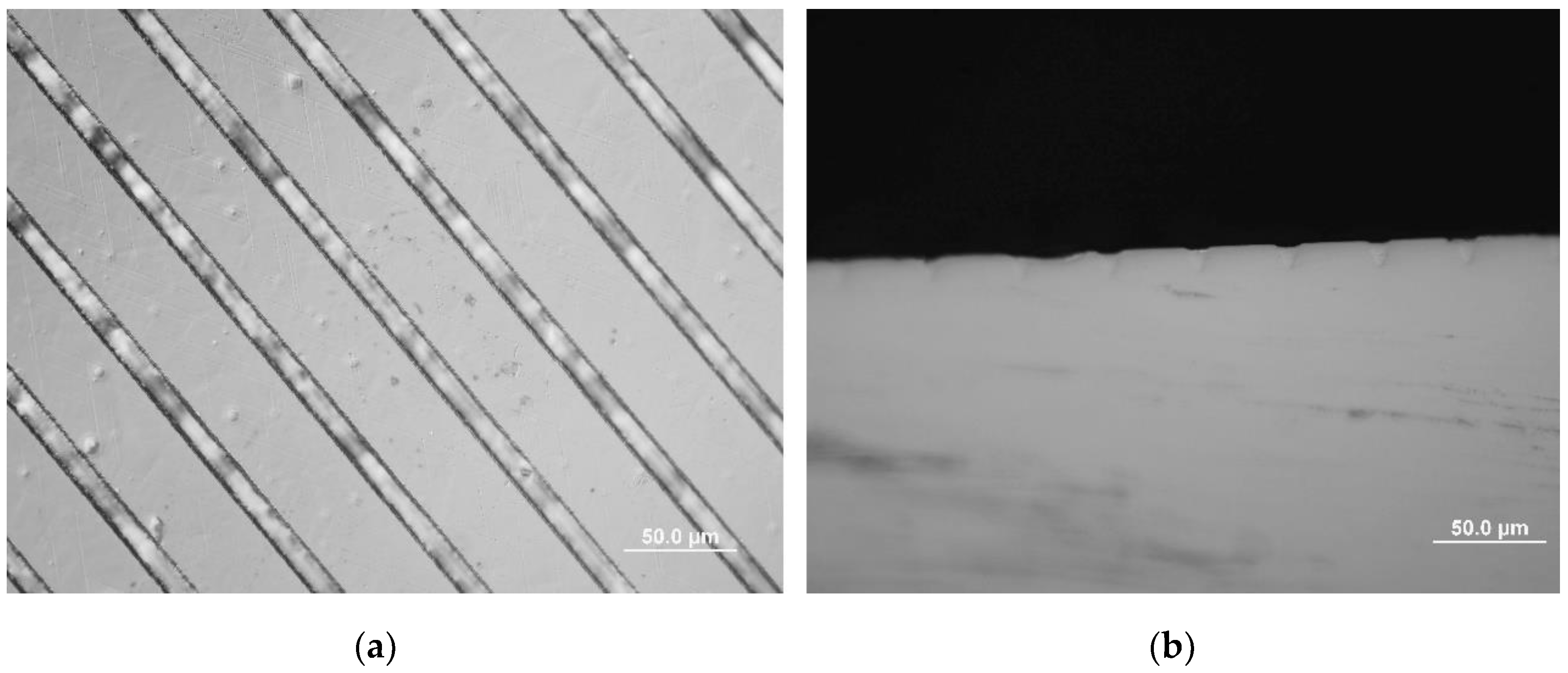 Molecules 25 03925 g007
