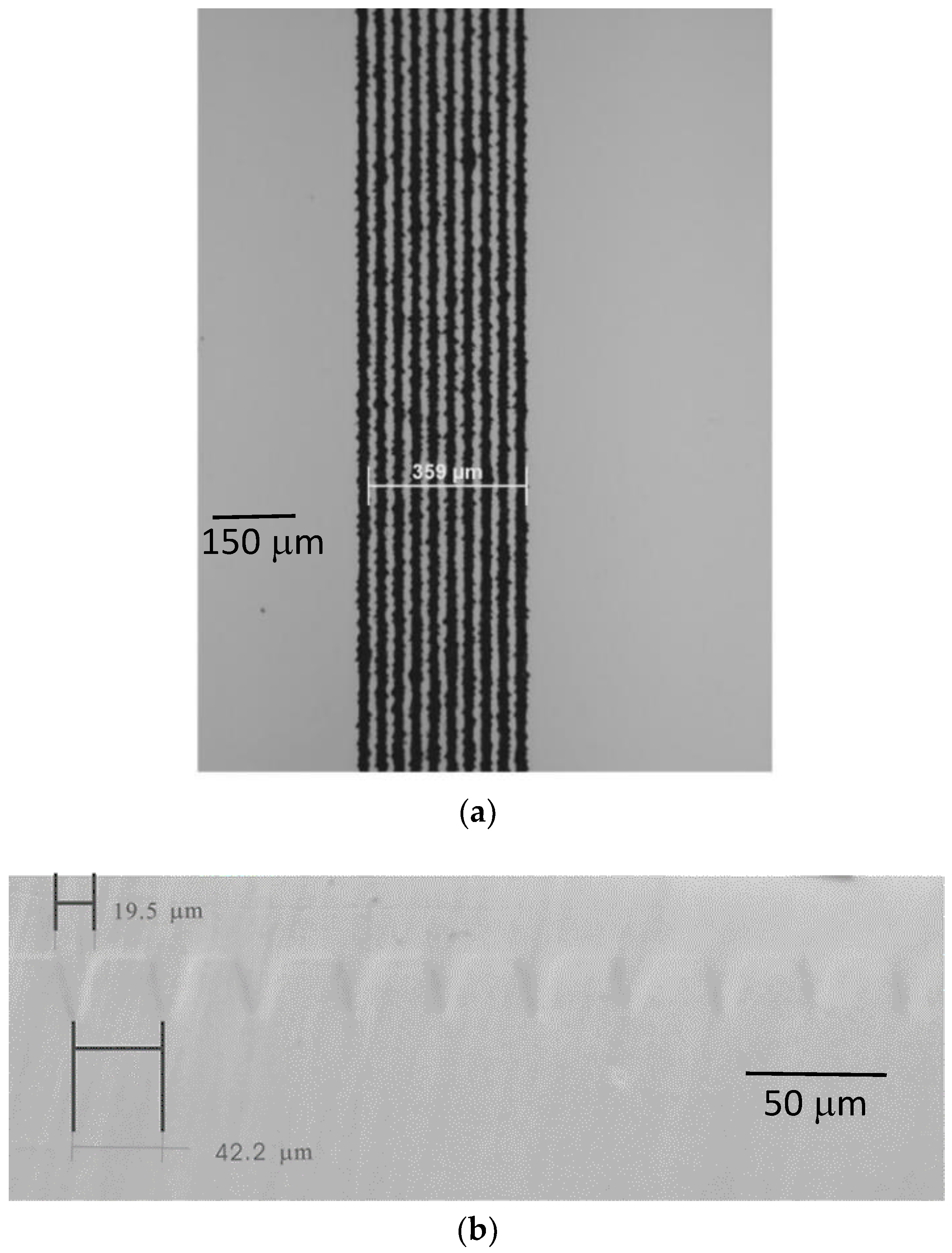 Molecules 25 03925 g009