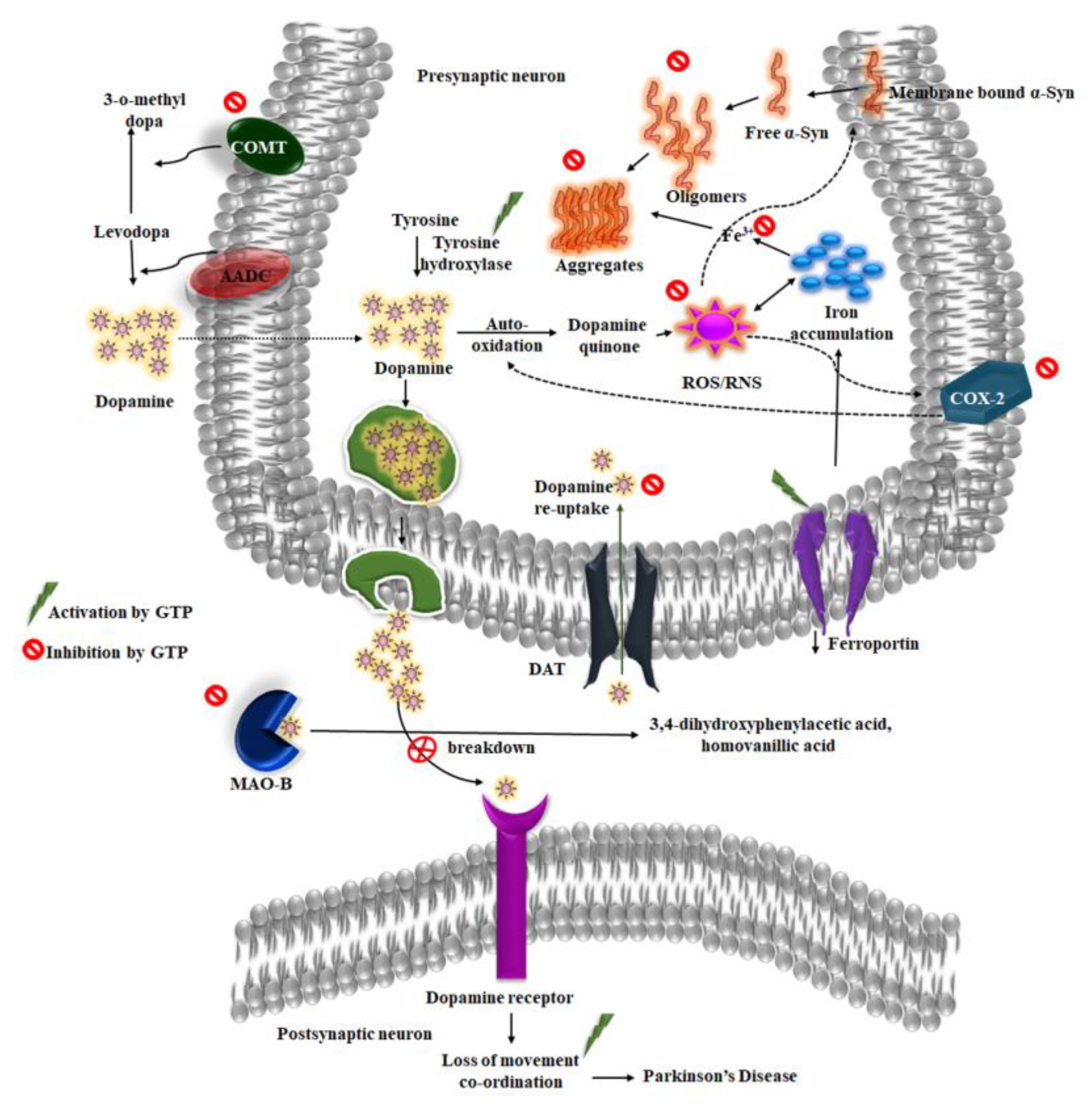Molecules 25 03926 g002 Molecules 25 03926 g002