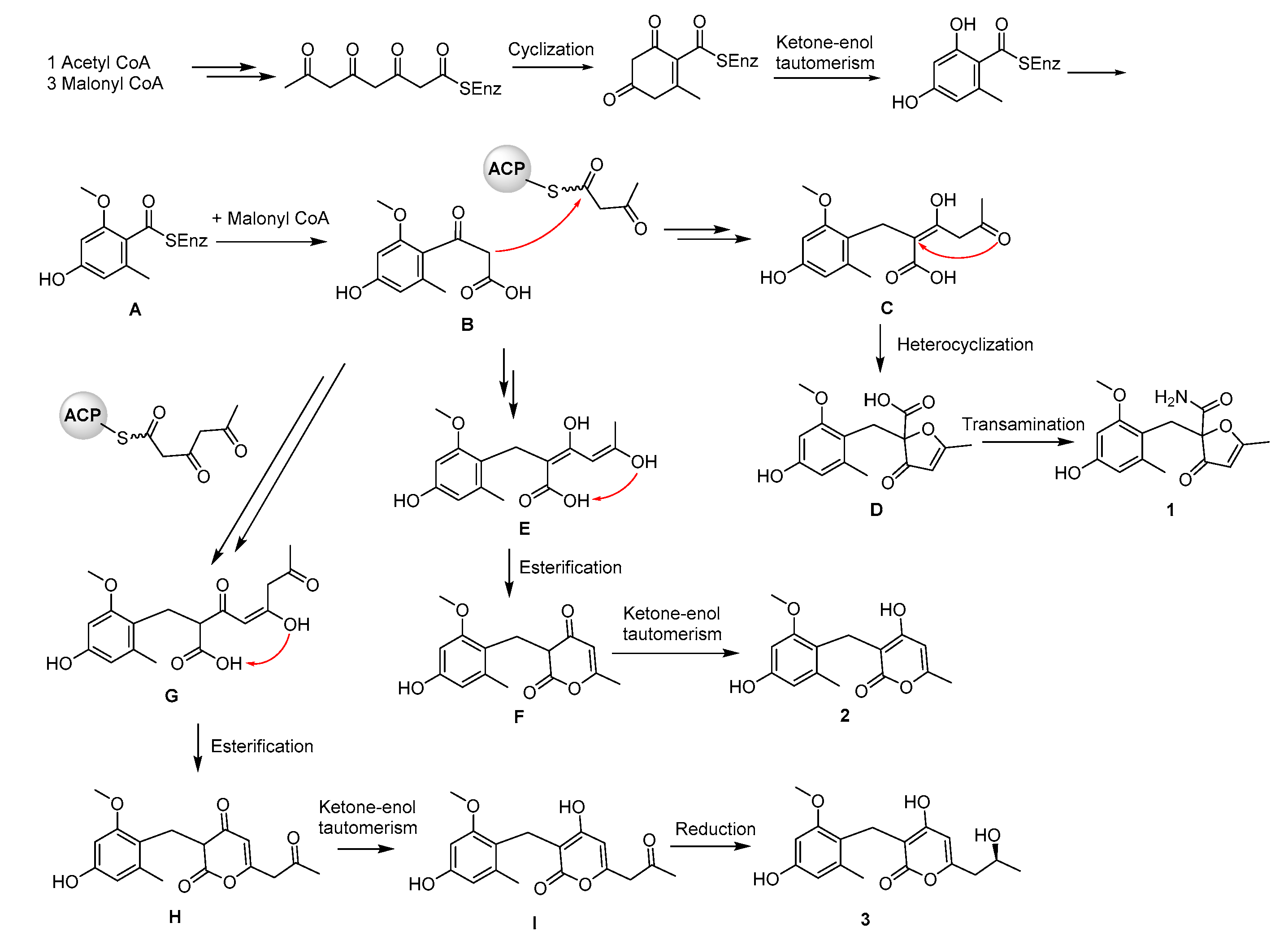Molecules 25 03927 g007 Molecules 25 03927 g007