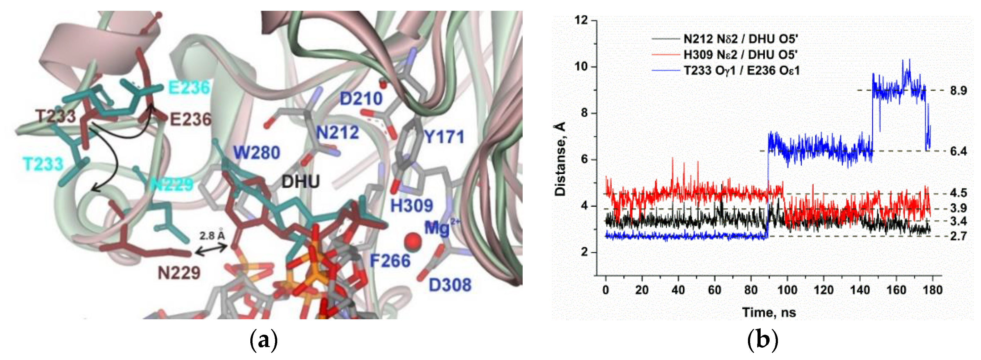 Molecules 25 03940 g004 Molecules 25 03940 g004