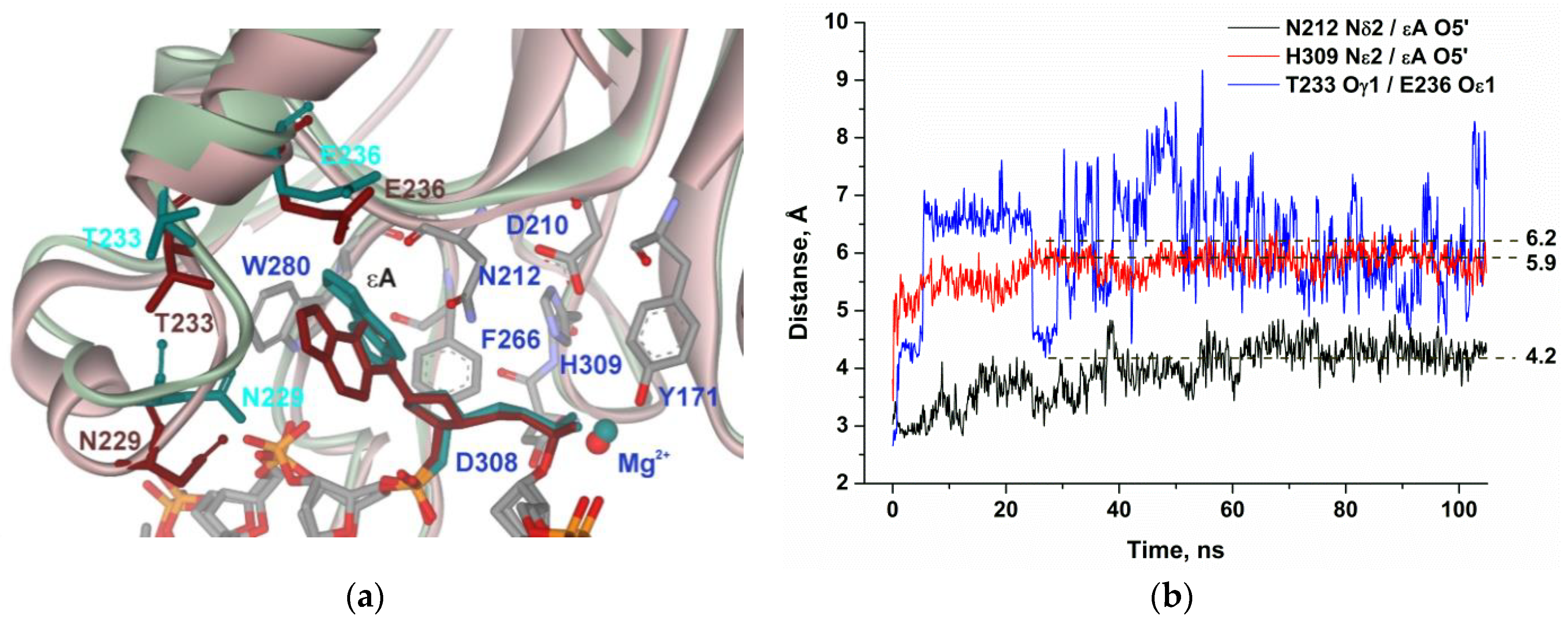 Molecules 25 03940 g006 Molecules 25 03940 g006