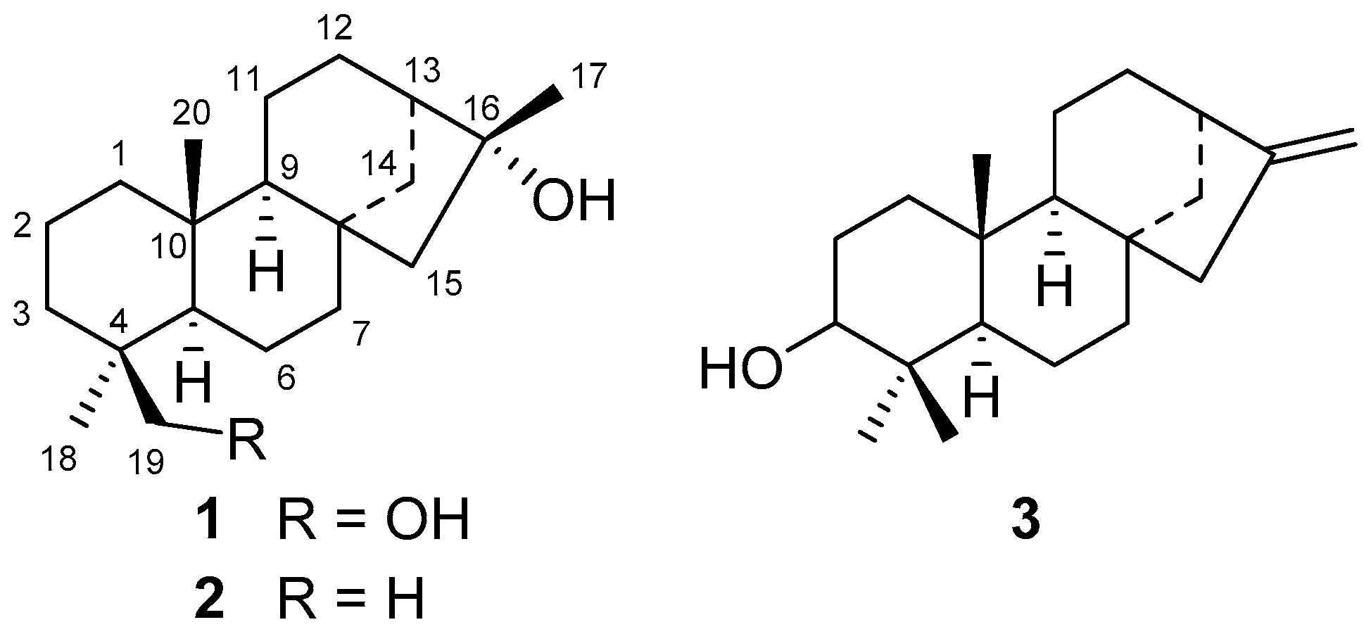 Molecules 25 03944 g001 Molecules 25 03944 g001