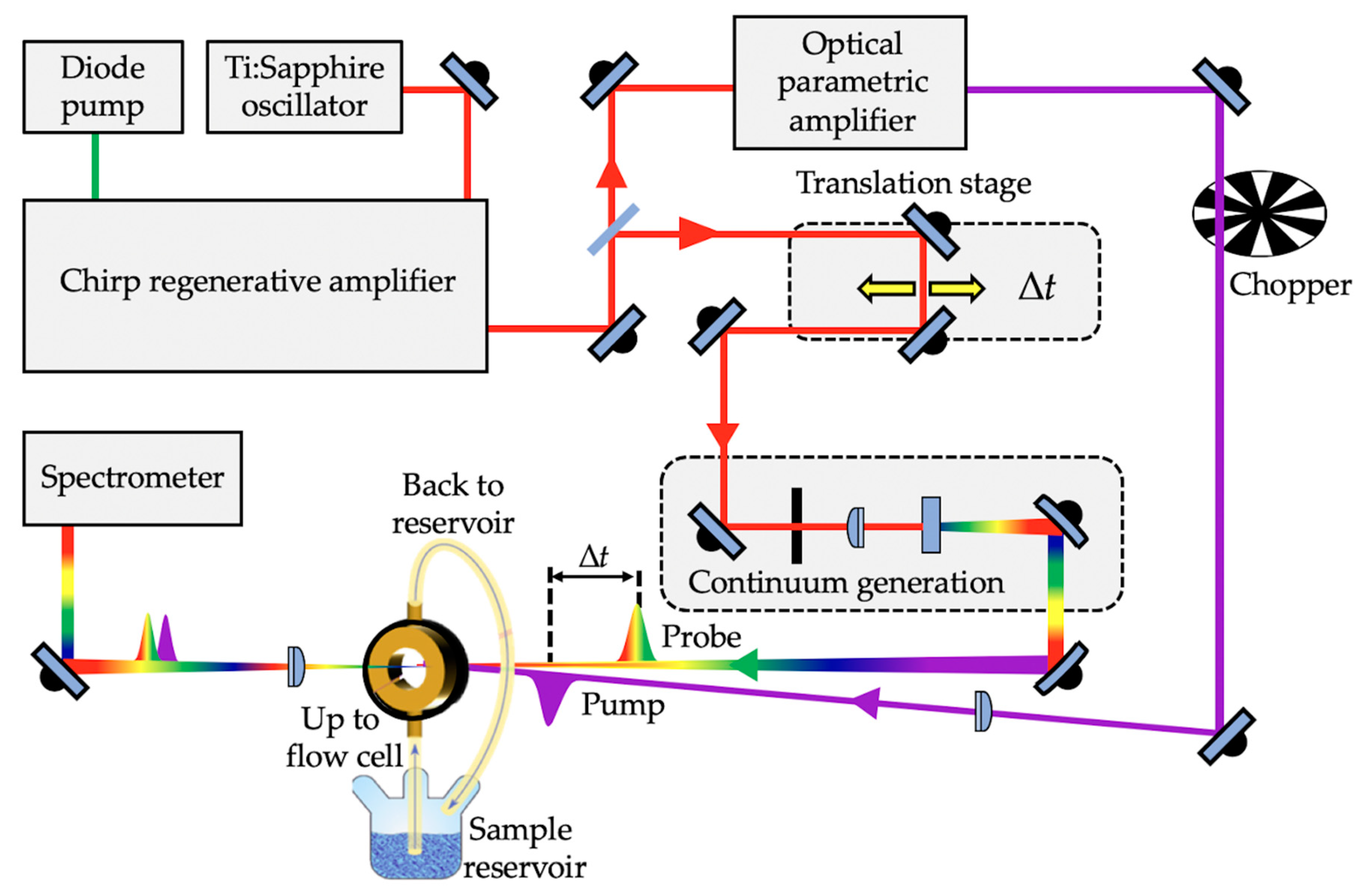 Molecules 25 03945 g002