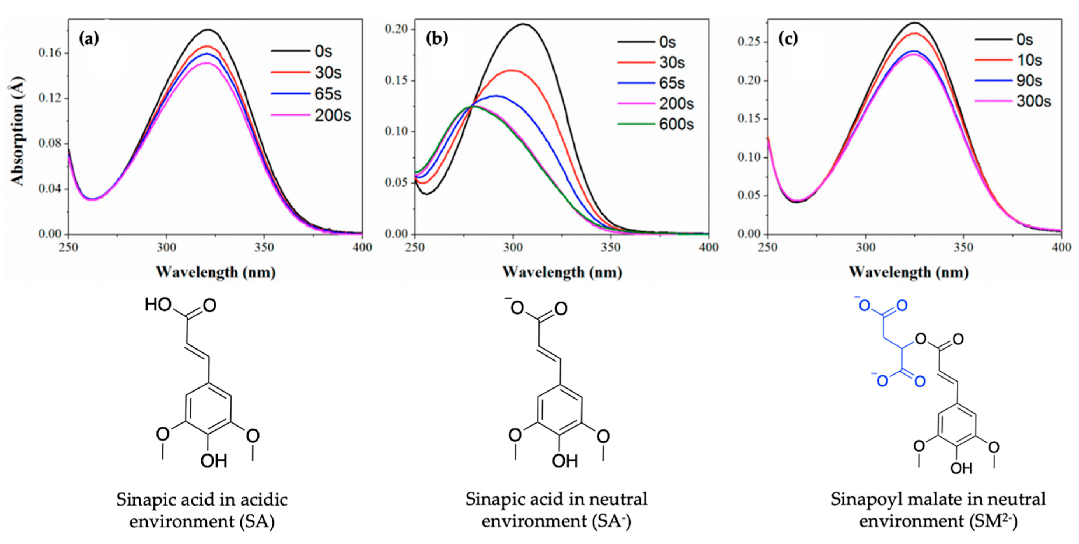 Molecules 25 03945 g005