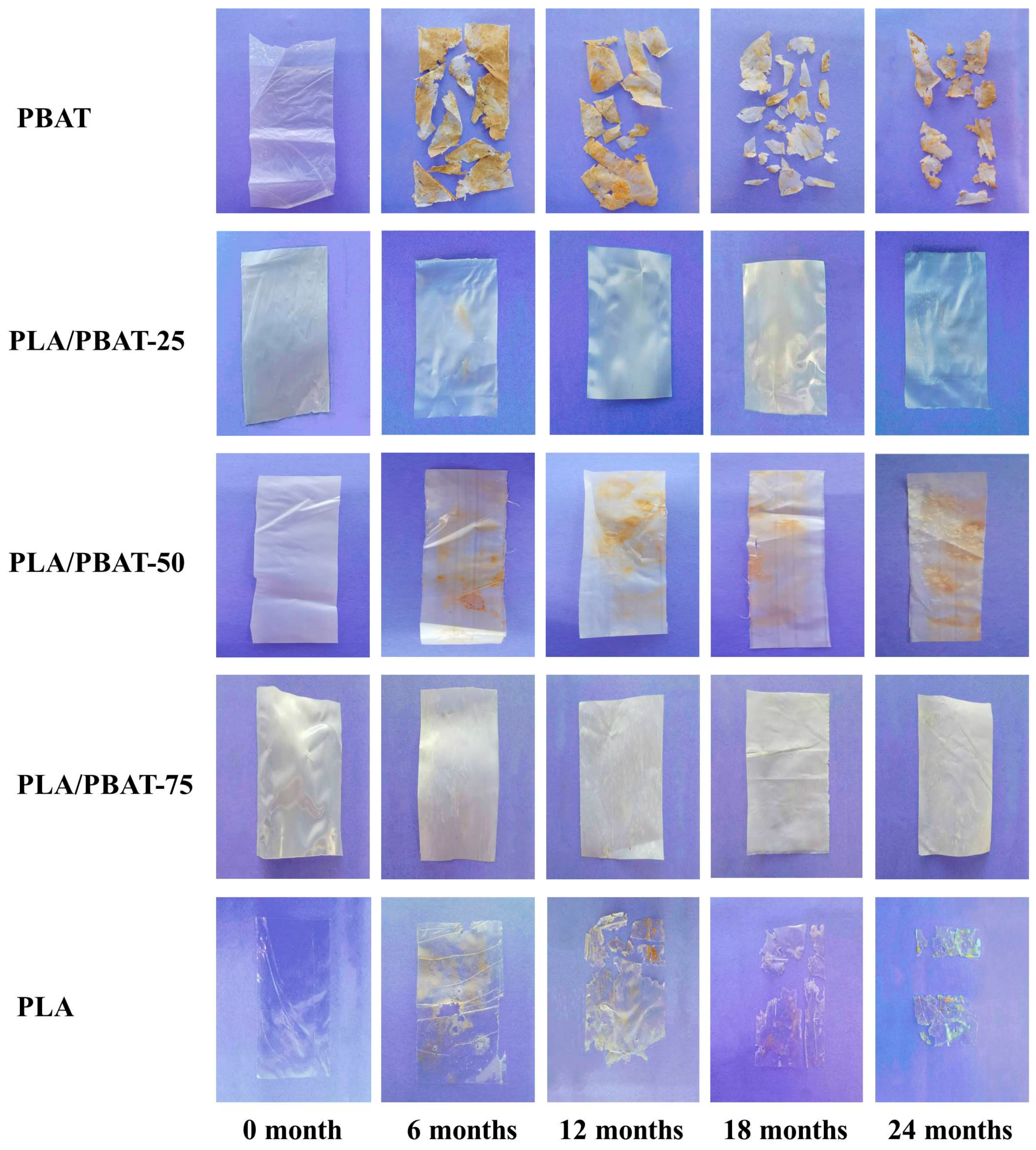 Molecules 25 03946 g002