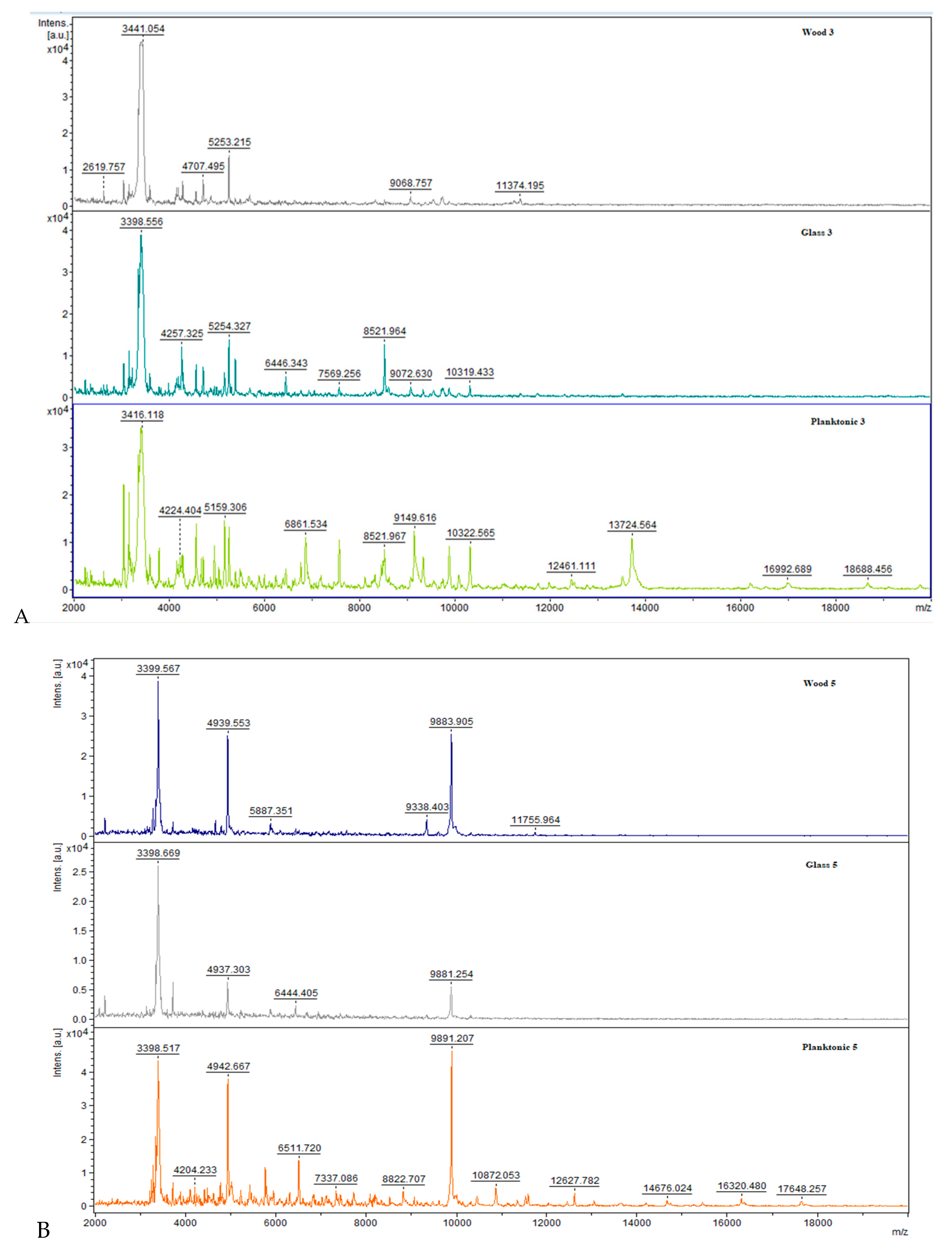 Molecules 25 03956 g001a Molecules 25 03956 g001a