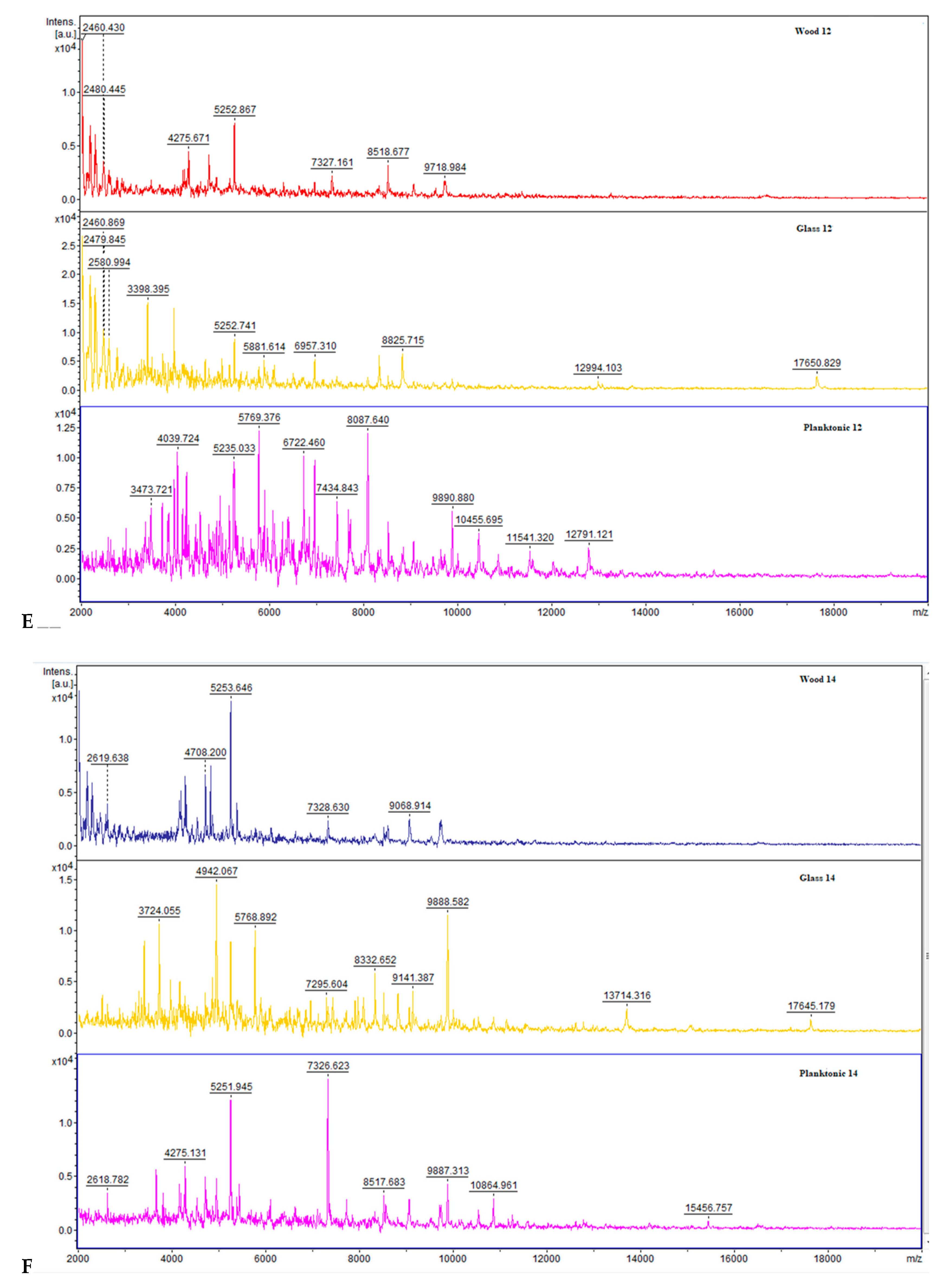 Molecules 25 03956 g001c Molecules 25 03956 g001c