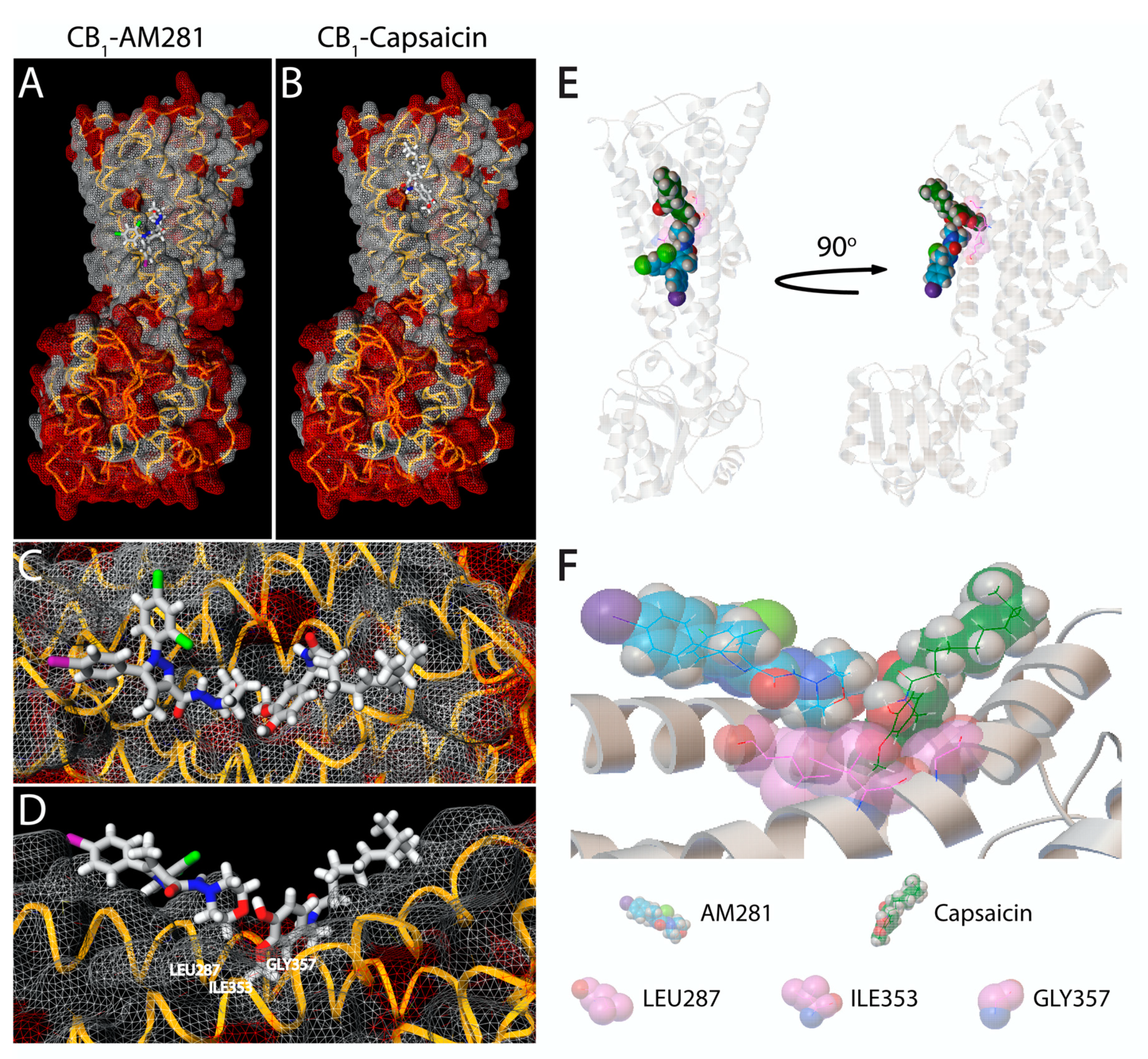 Molecules 25 03957 g005