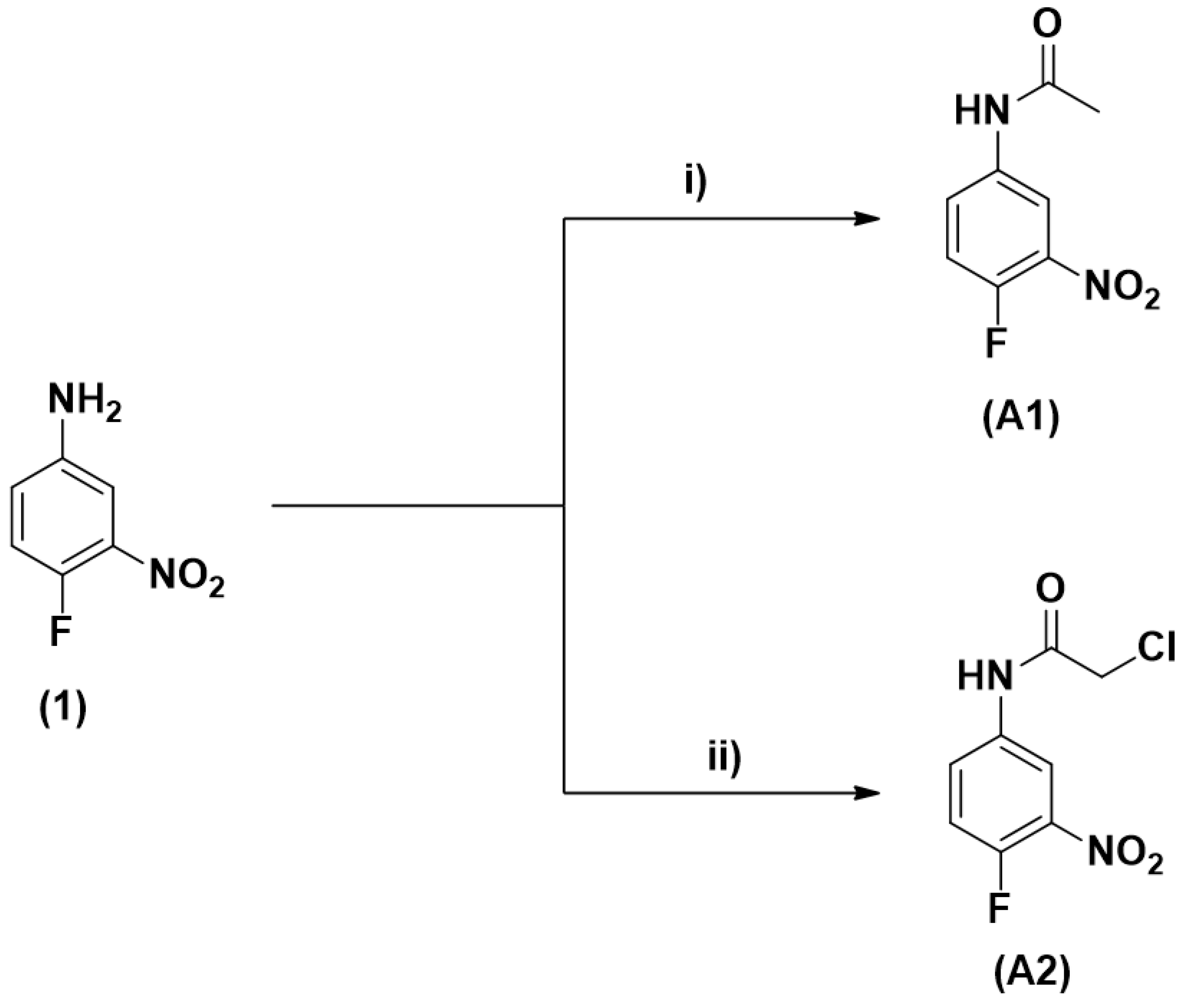 Molecules 25 03959 g001