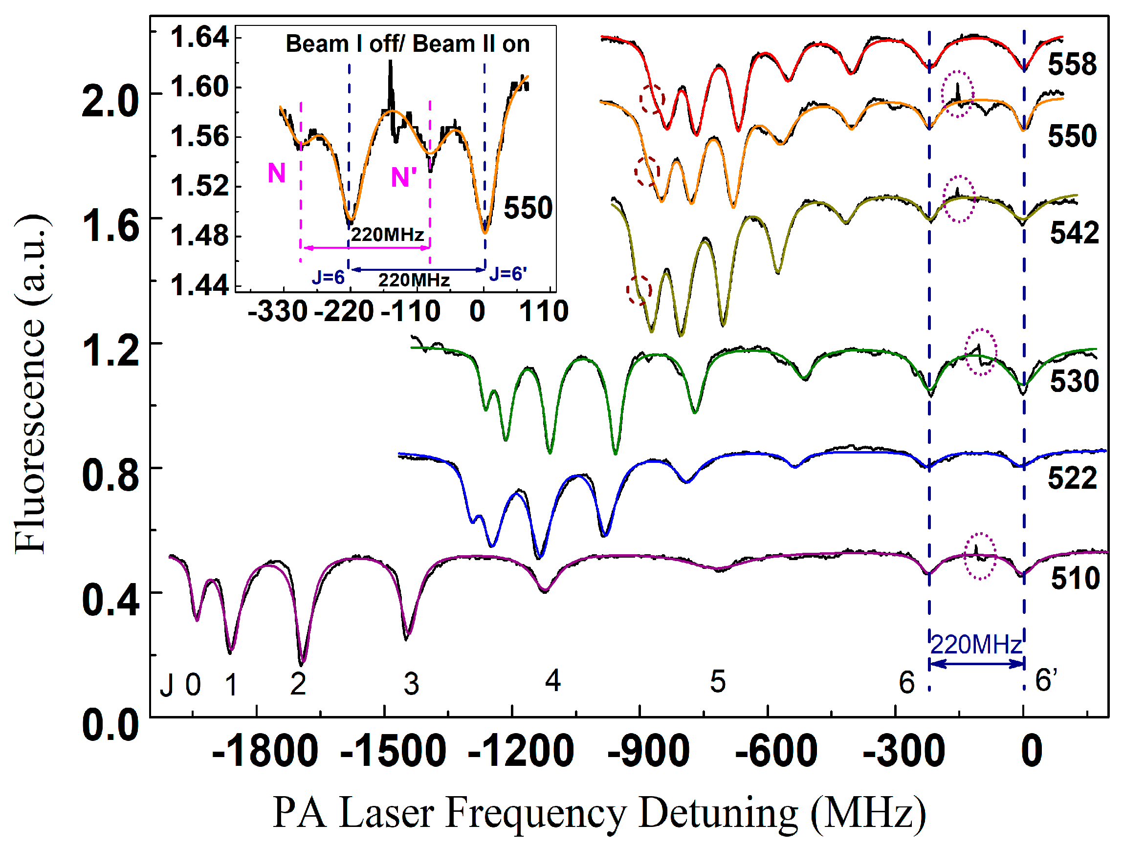Molecules 25 03963 g002
