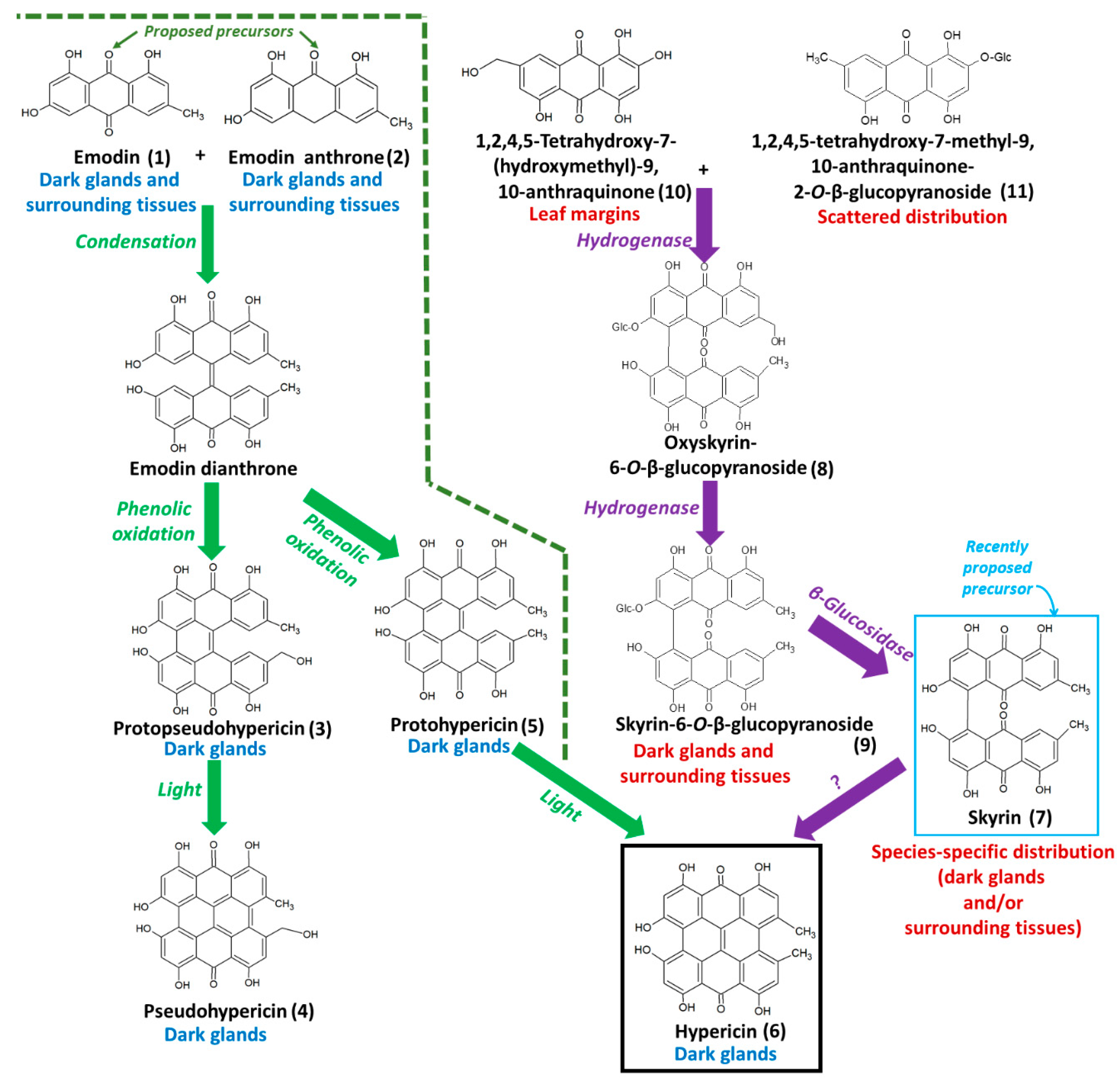 Molecules 25 03964 g001