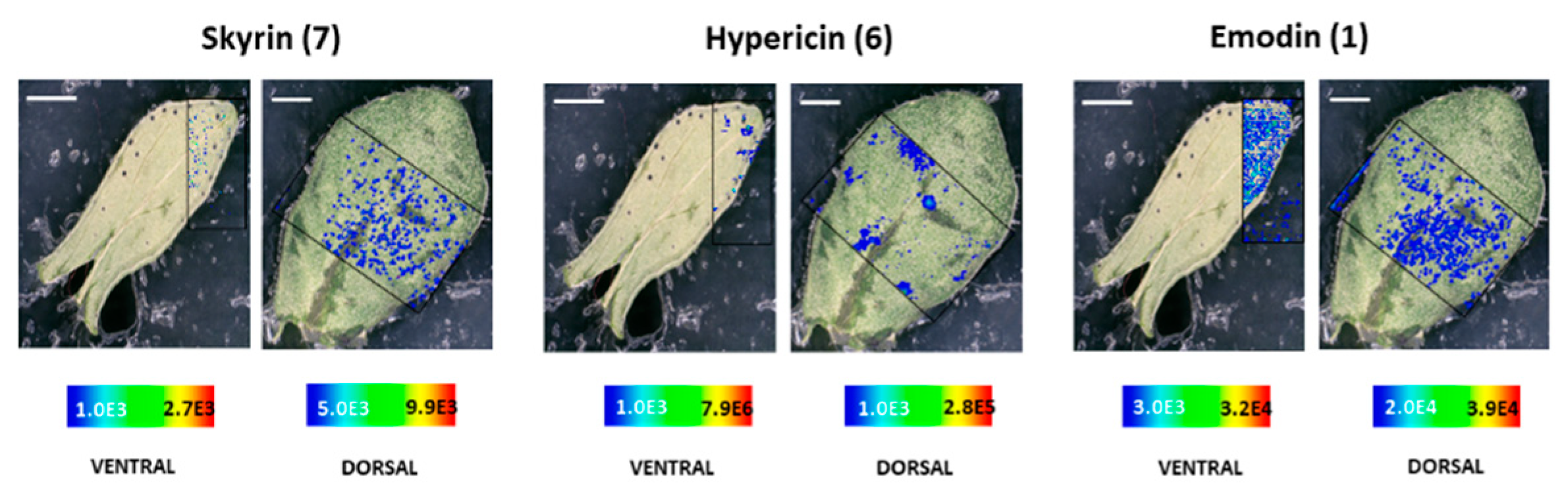 Molecules 25 03964 g008