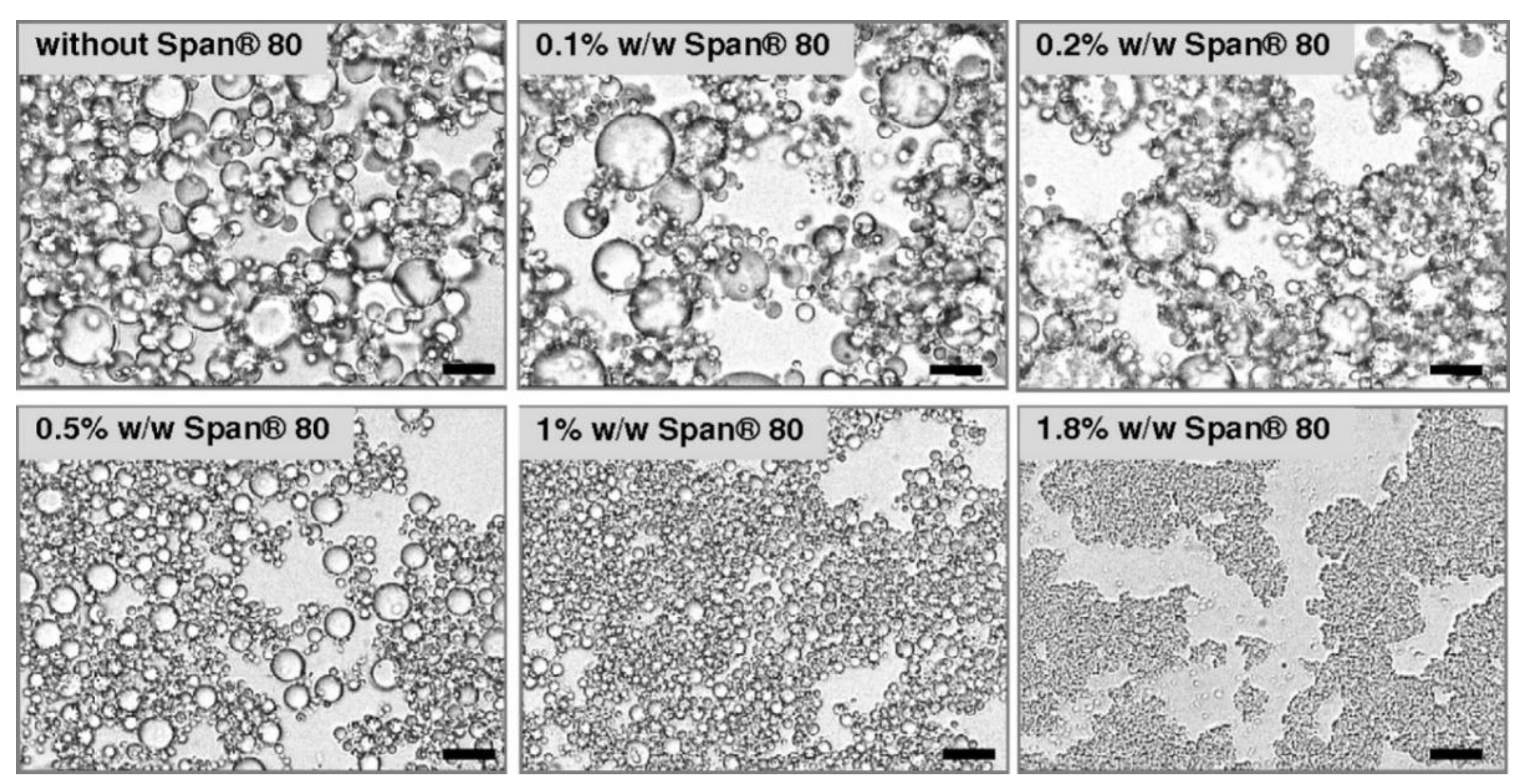 Molecules 25 03966 g004 Molecules 25 03966 g004