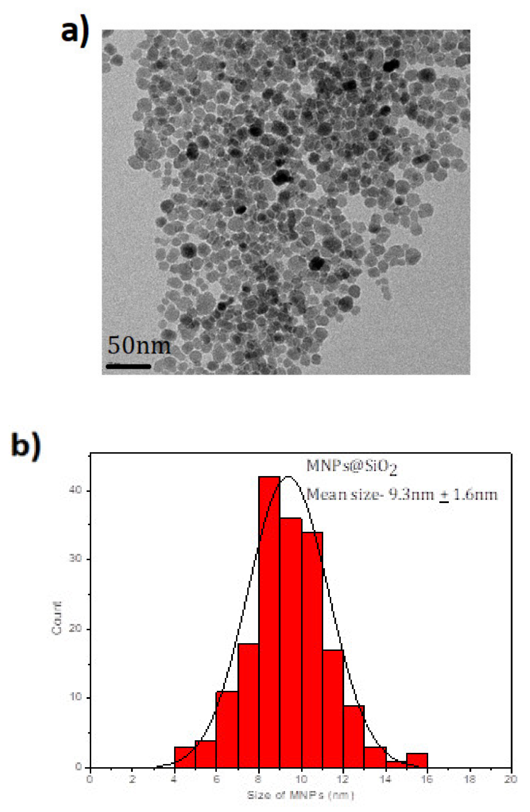 Molecules 25 03968 g001