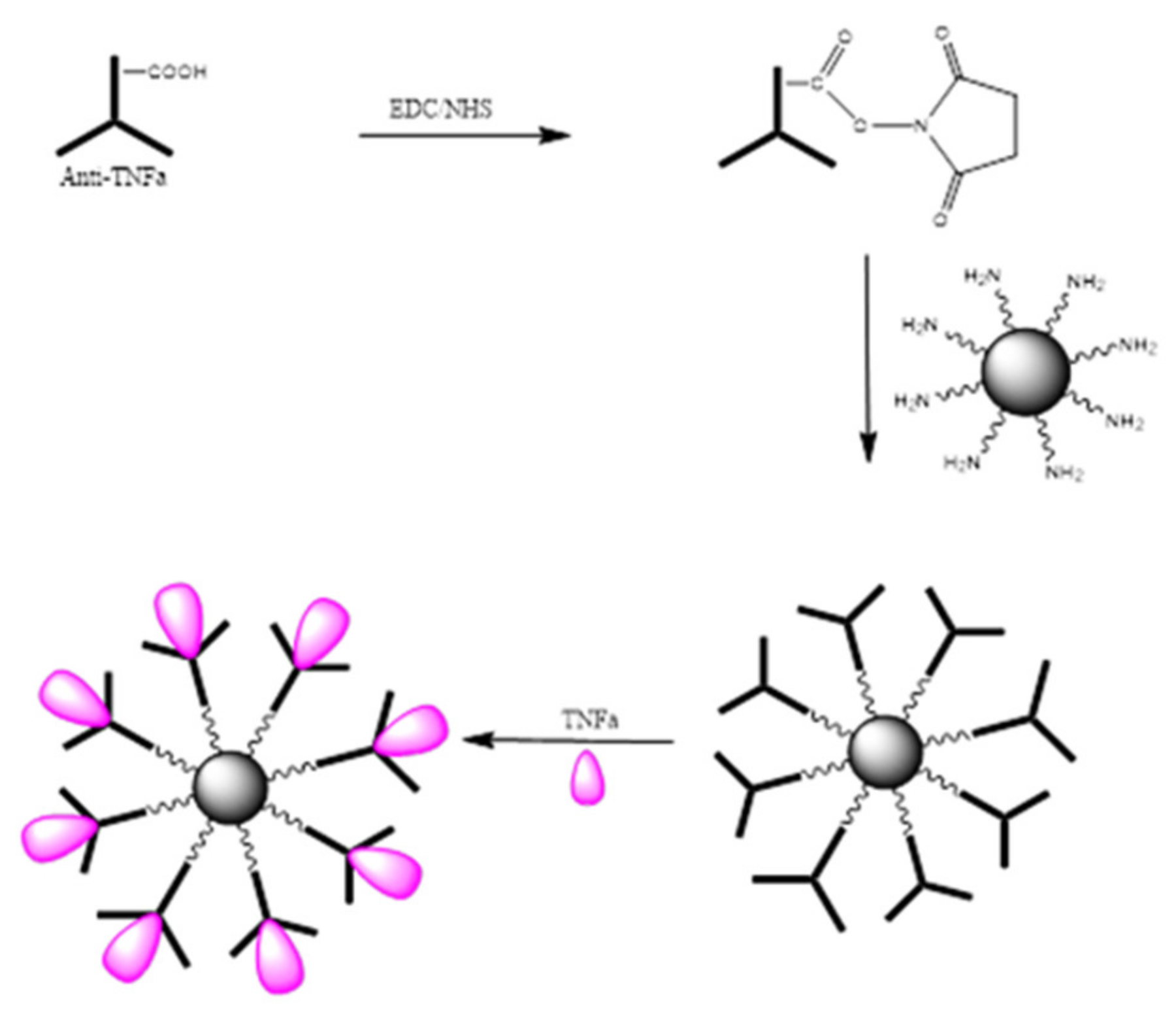 Molecules 25 03968 g011