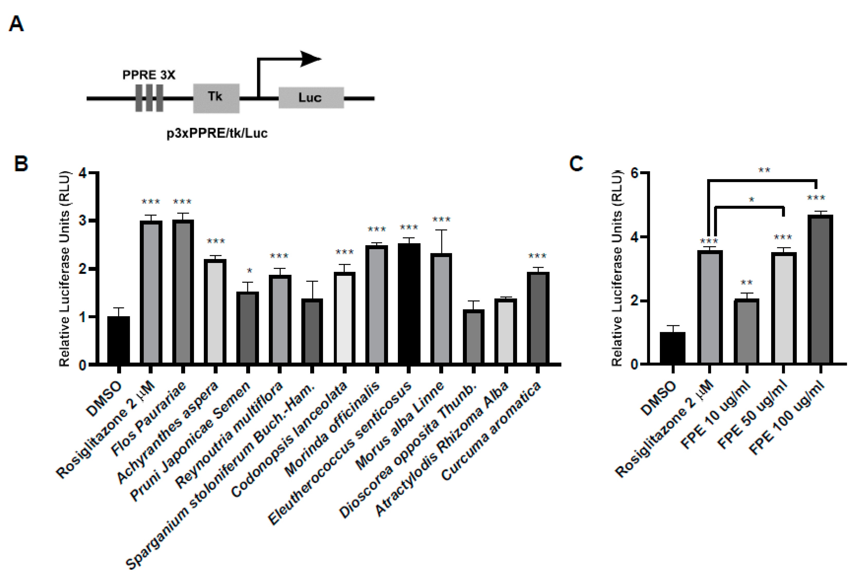 Molecules 25 03970 g001