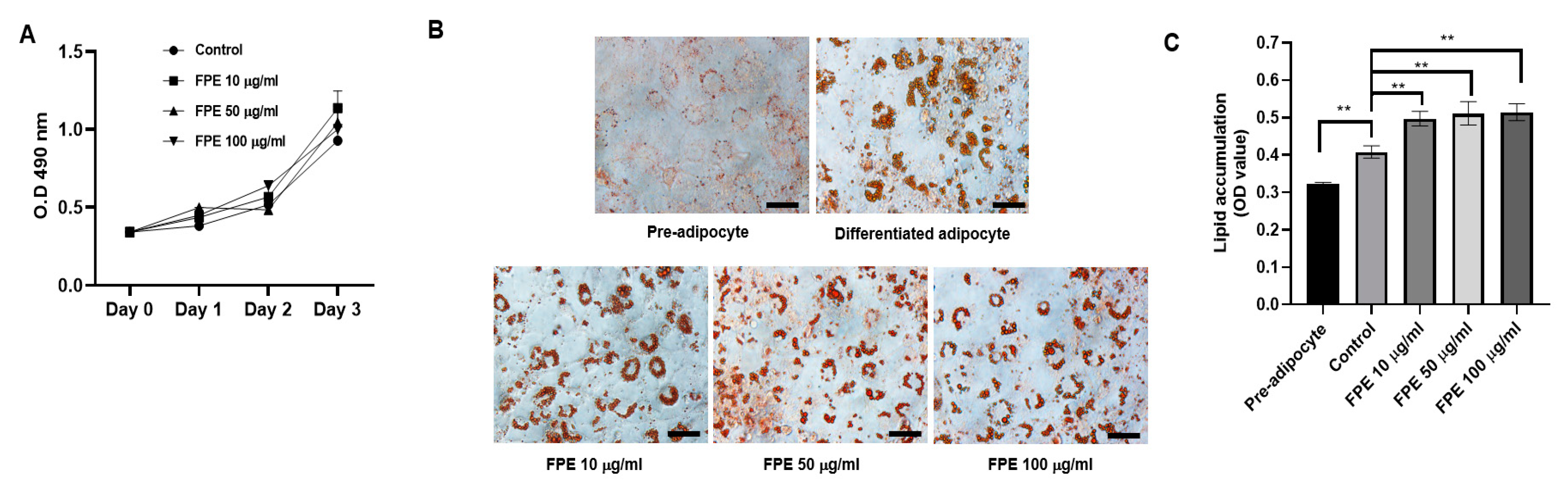 Molecules 25 03970 g002