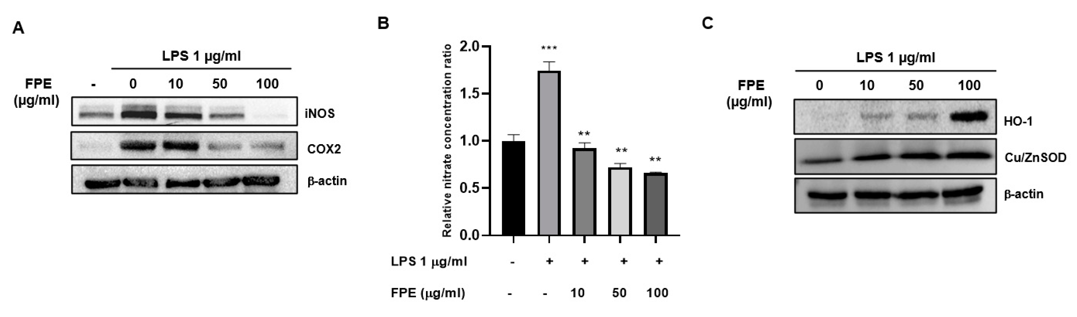 Molecules 25 03970 g005