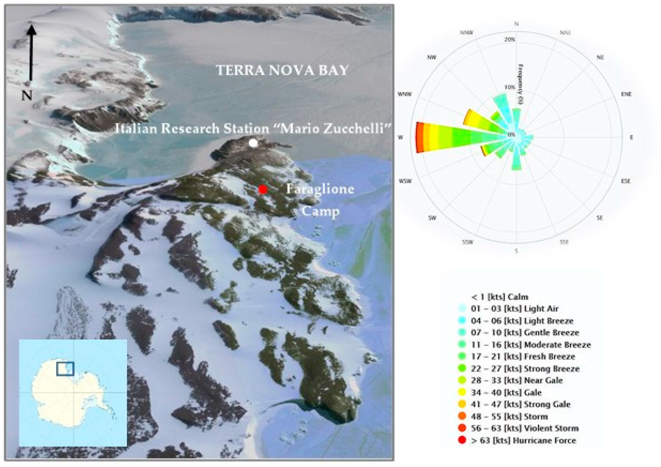 Molecules 25 03971 g001
