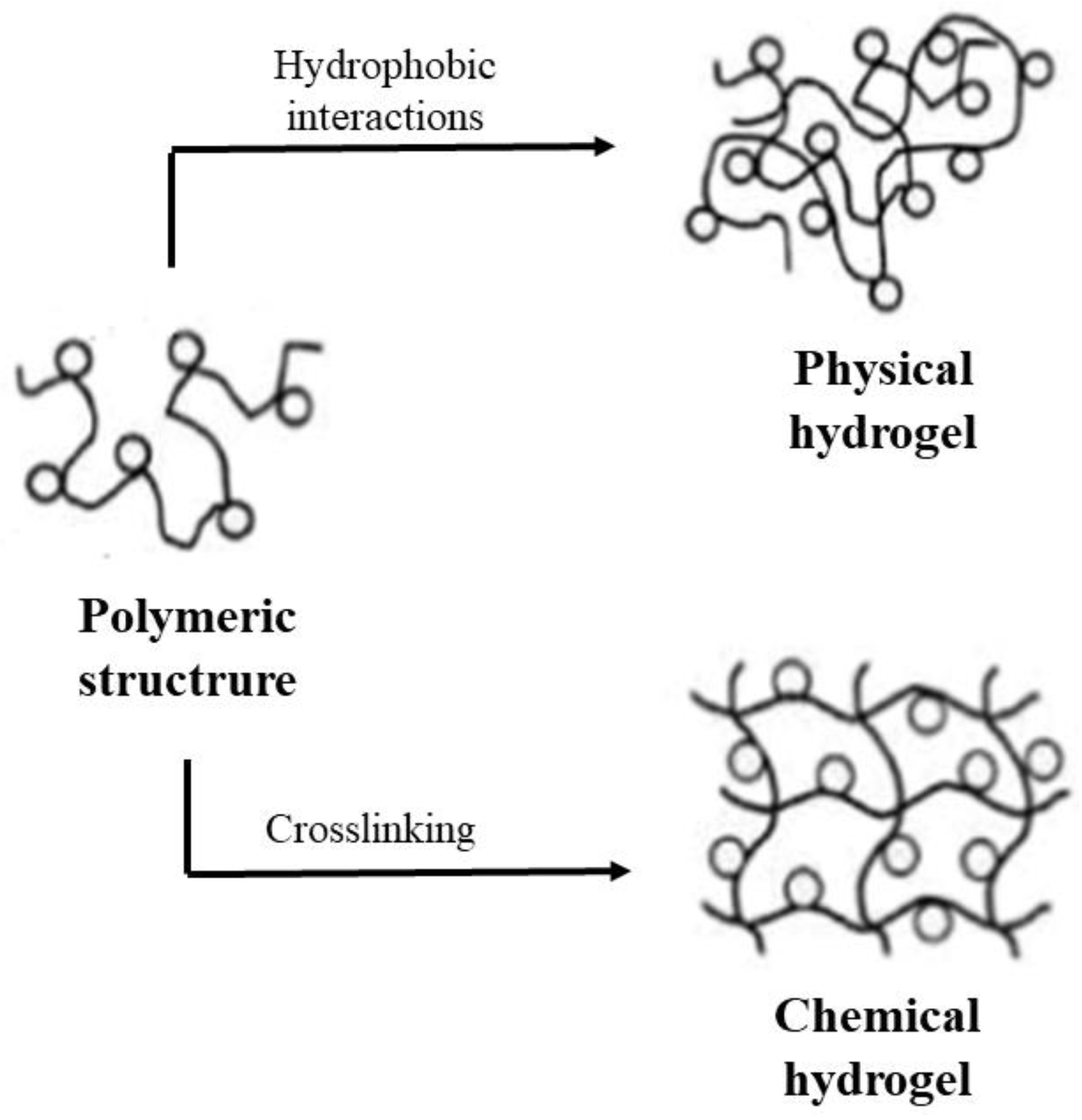 Molecules 25 03981 g004