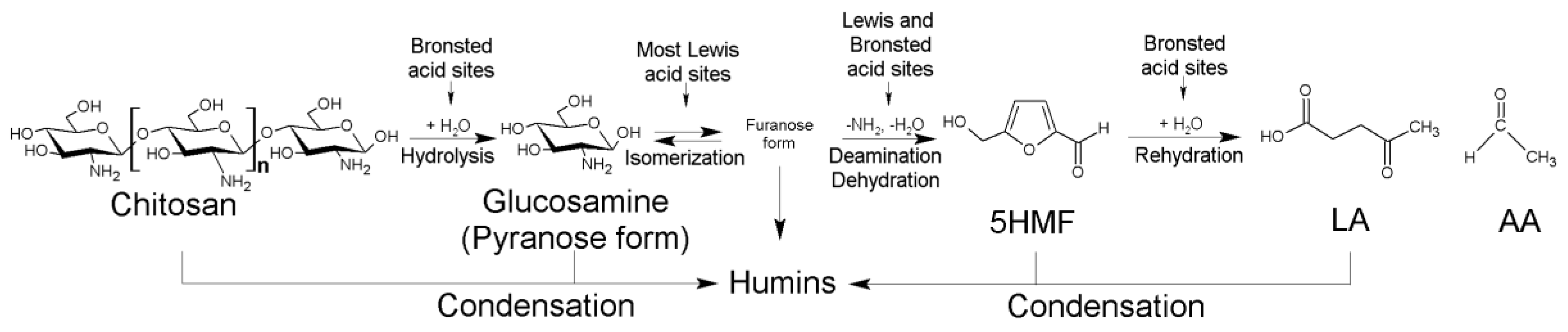 Molecules 25 03981 g027