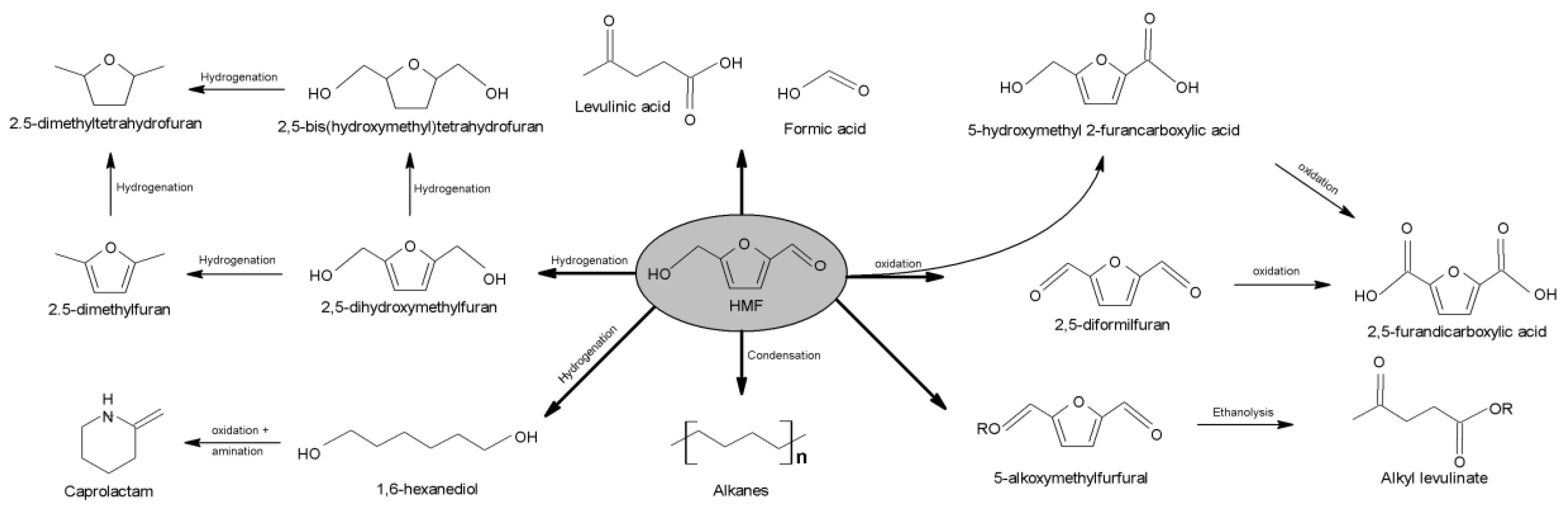 Molecules 25 03981 g028