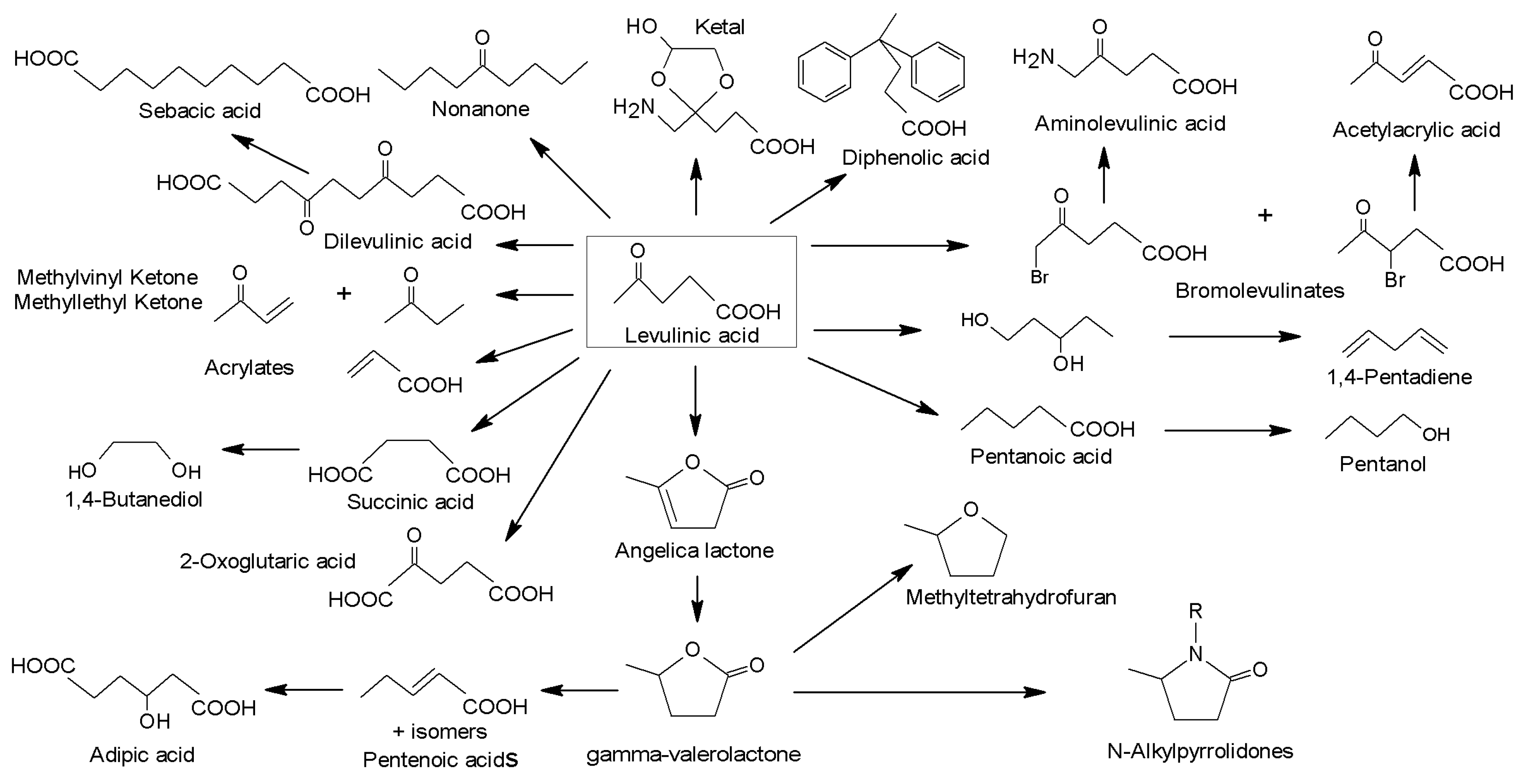 Molecules 25 03981 g029