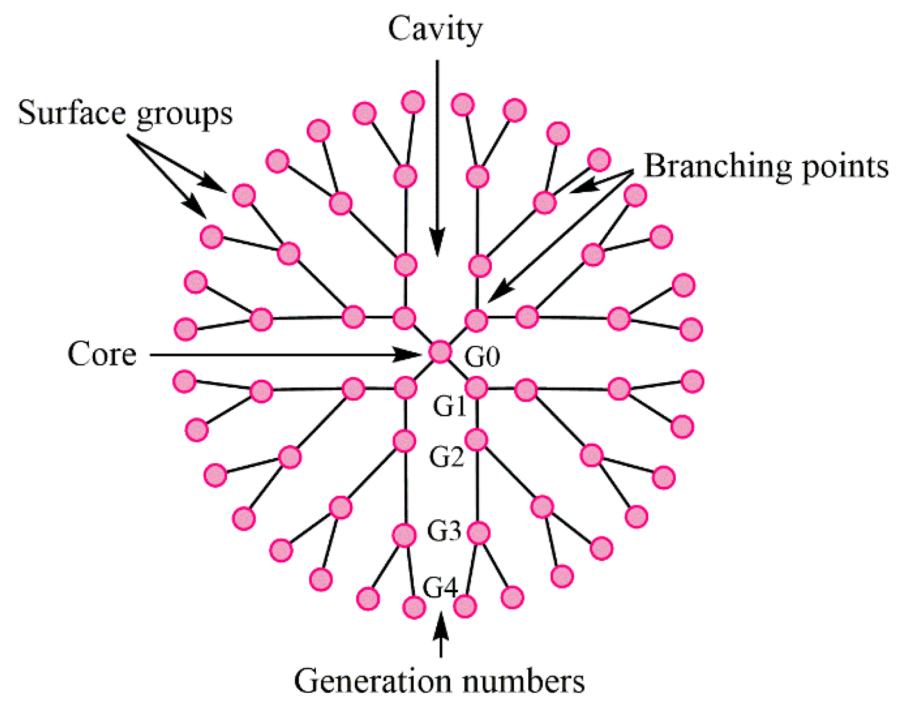 Molecules 25 03982 g001 Molecules 25 03982 g001
