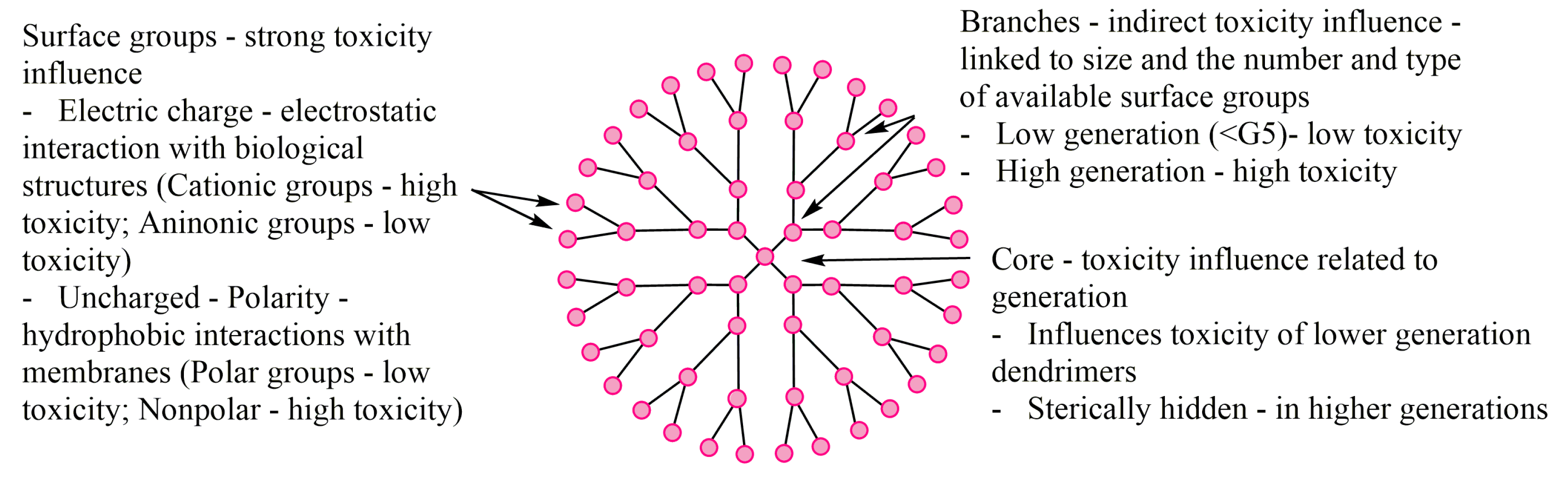 Molecules 25 03982 g026