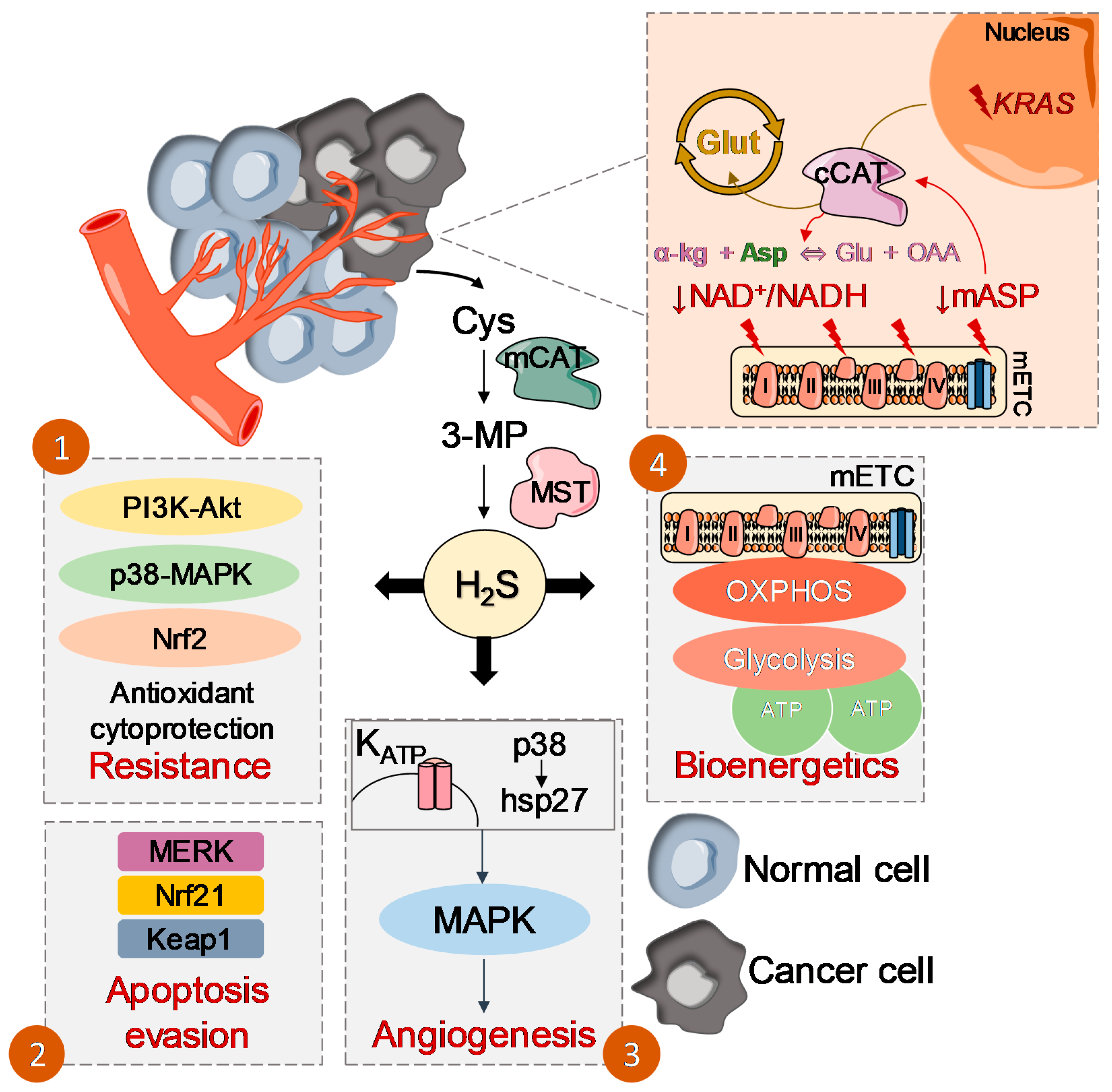 Molecules 25 03984 g001 Molecules 25 03984 g001