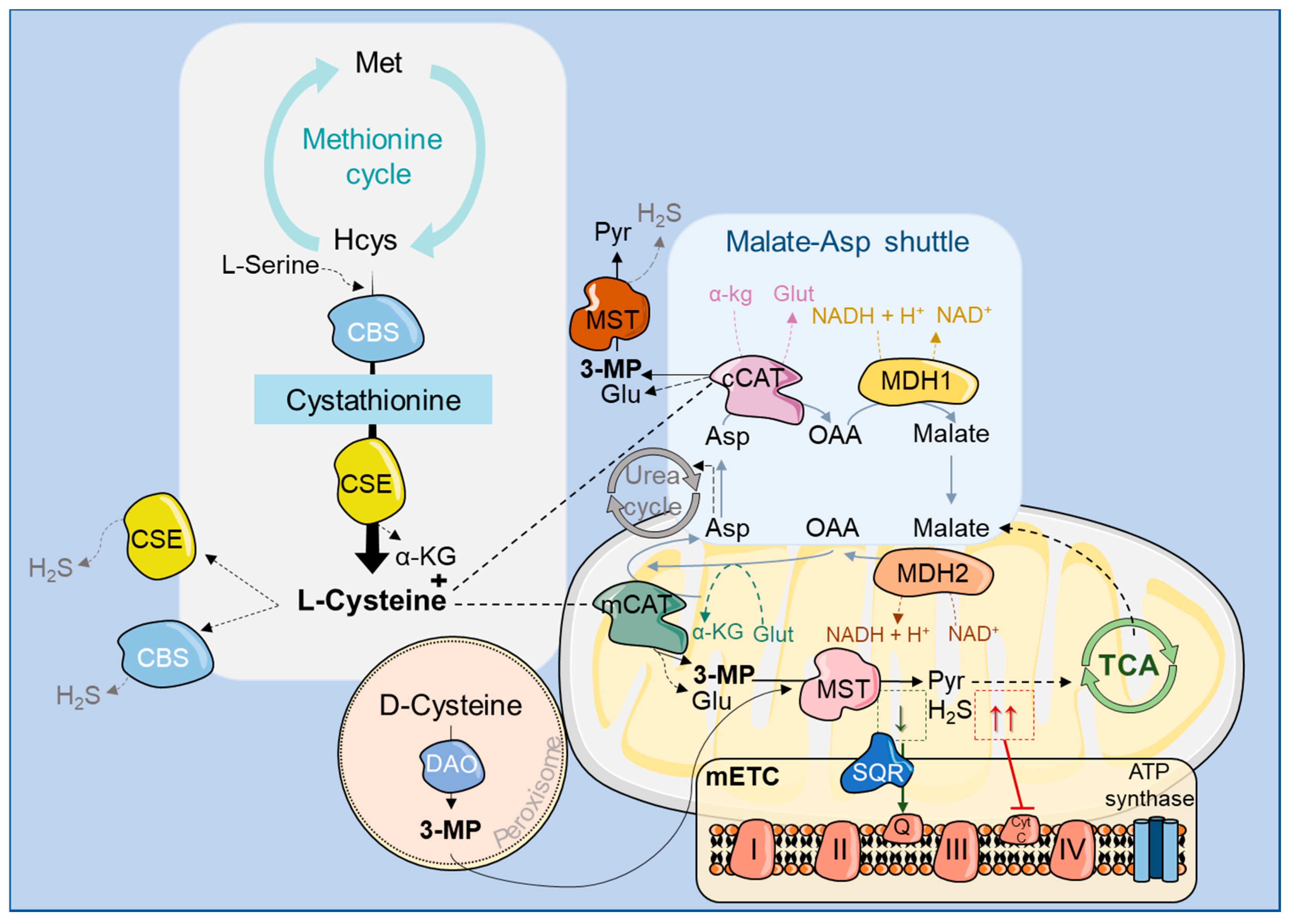 Molecules 25 03984 g002 Molecules 25 03984 g002