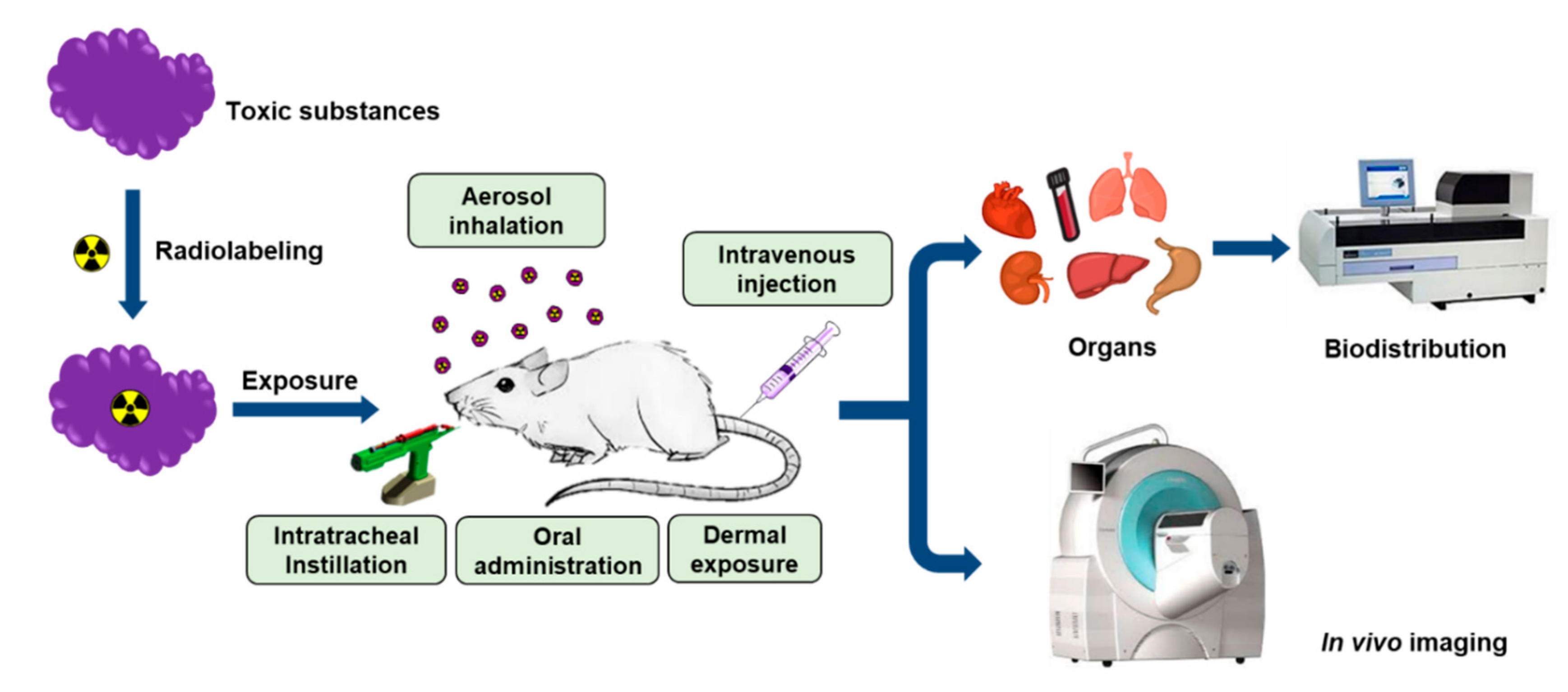 Molecules 25 03985 g001