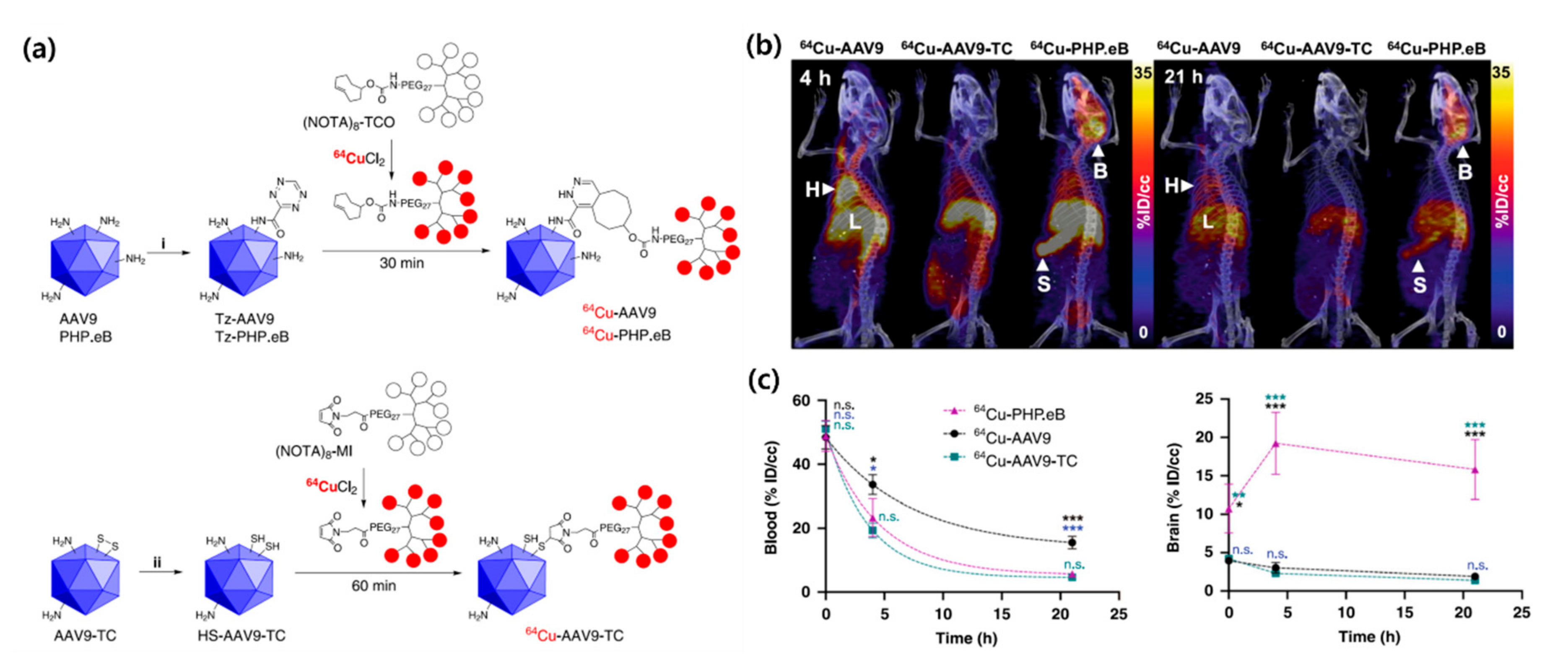 Molecules 25 03985 g004