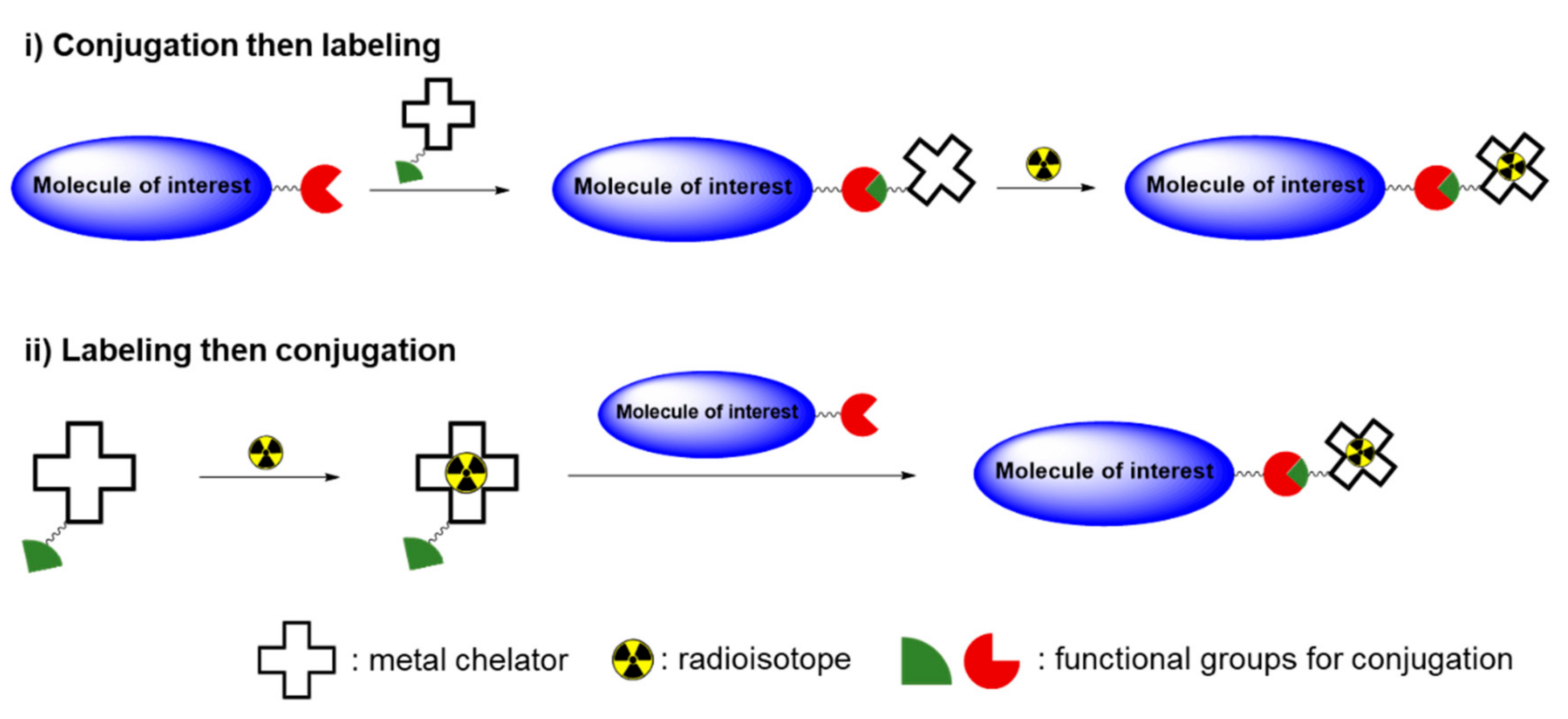 Molecules 25 03985 sch001