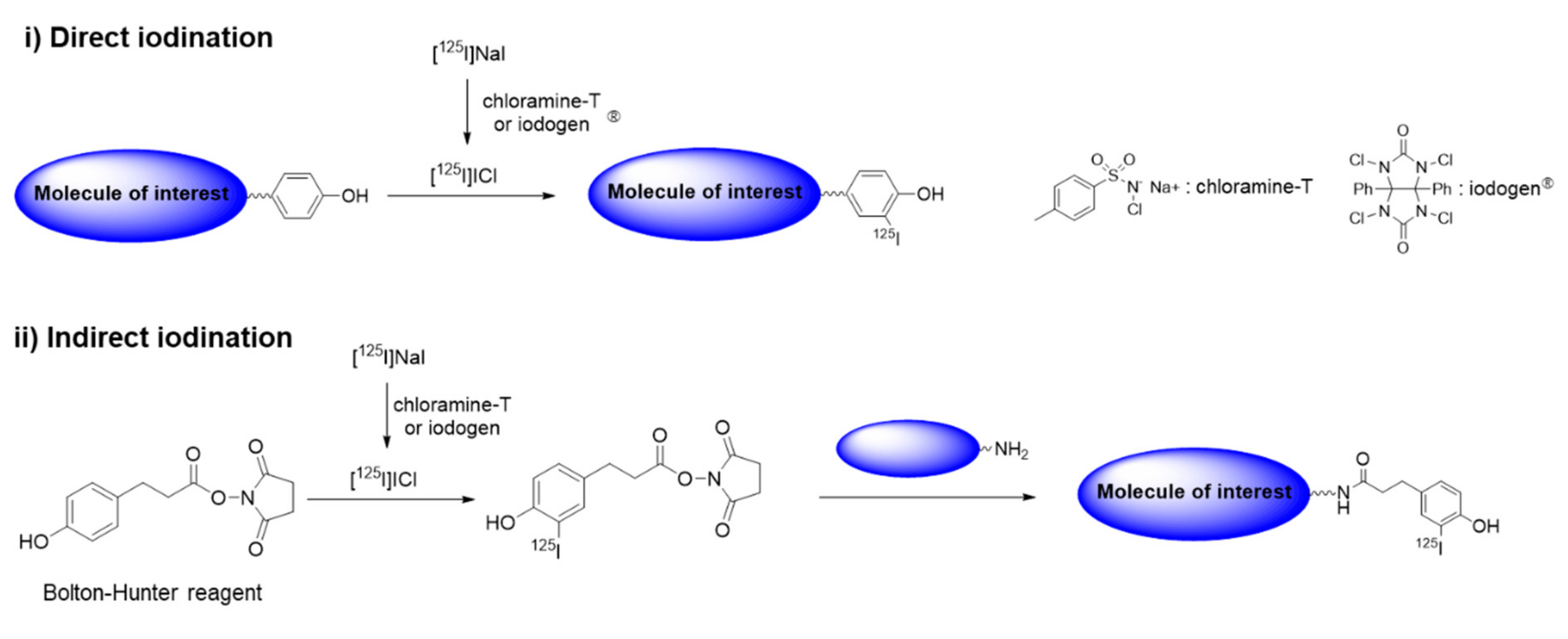 Molecules 25 03985 sch002