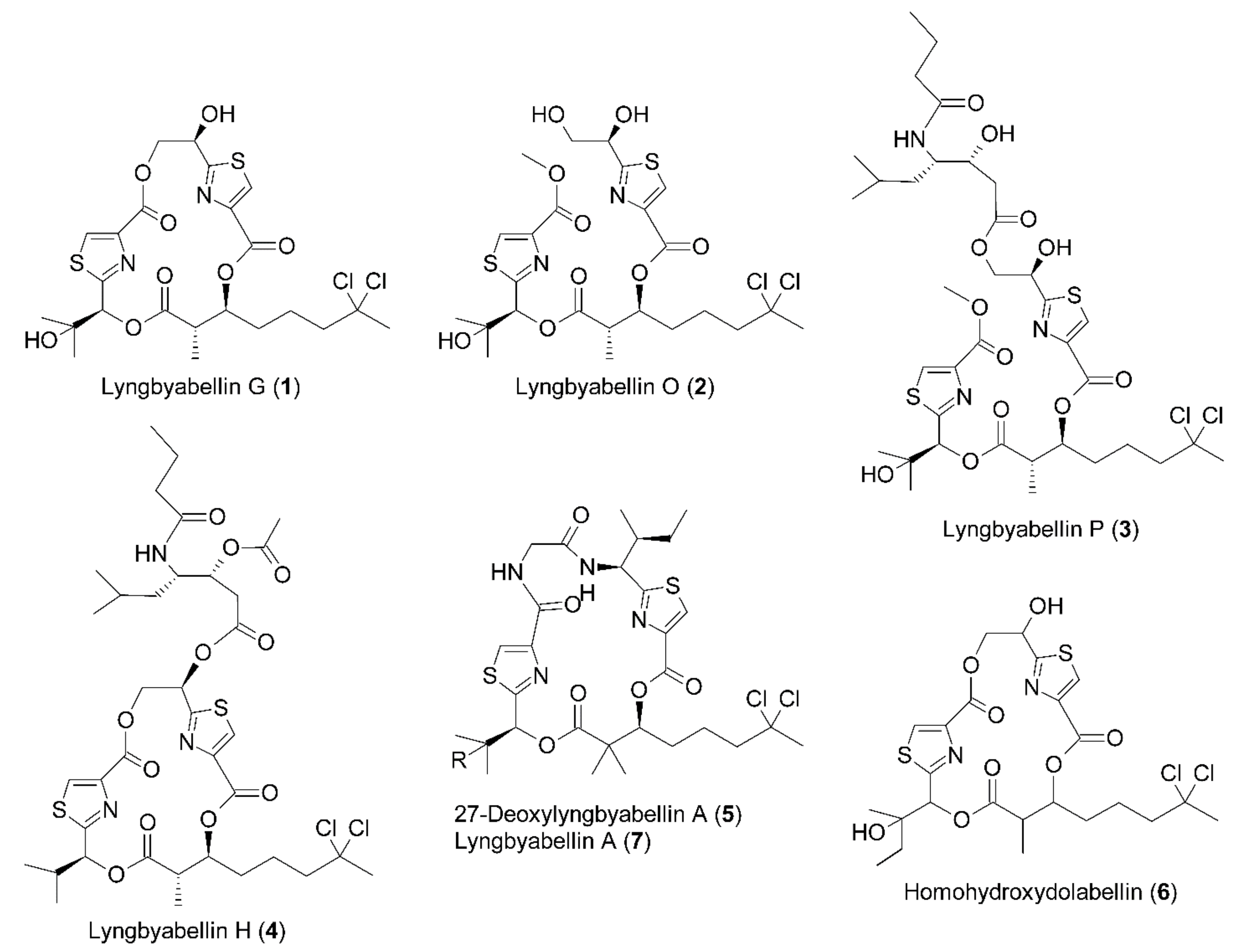 Molecules 25 03986 g001 Molecules 25 03986 g001