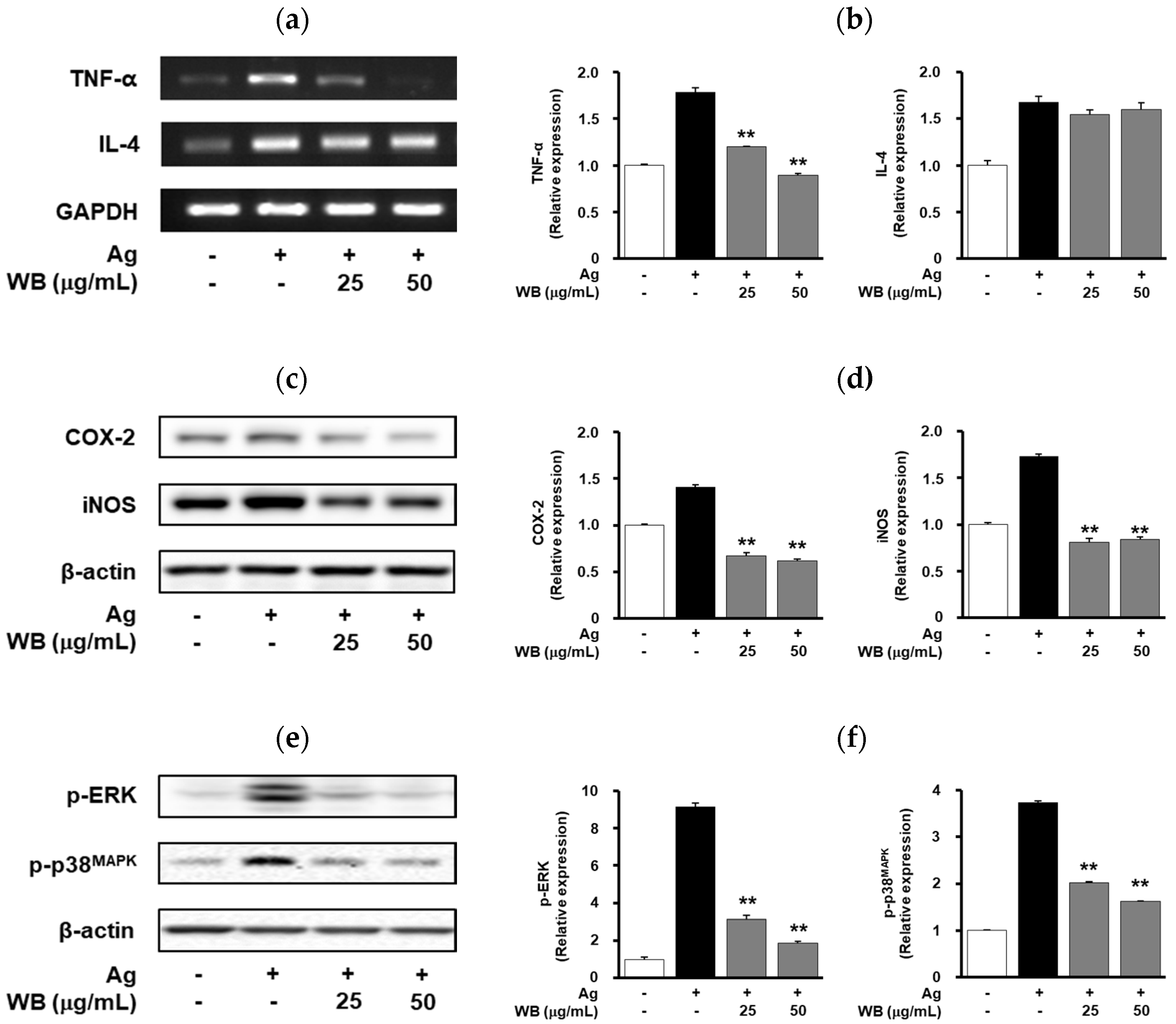 Molecules 25 03997 g002 Molecules 25 03997 g002