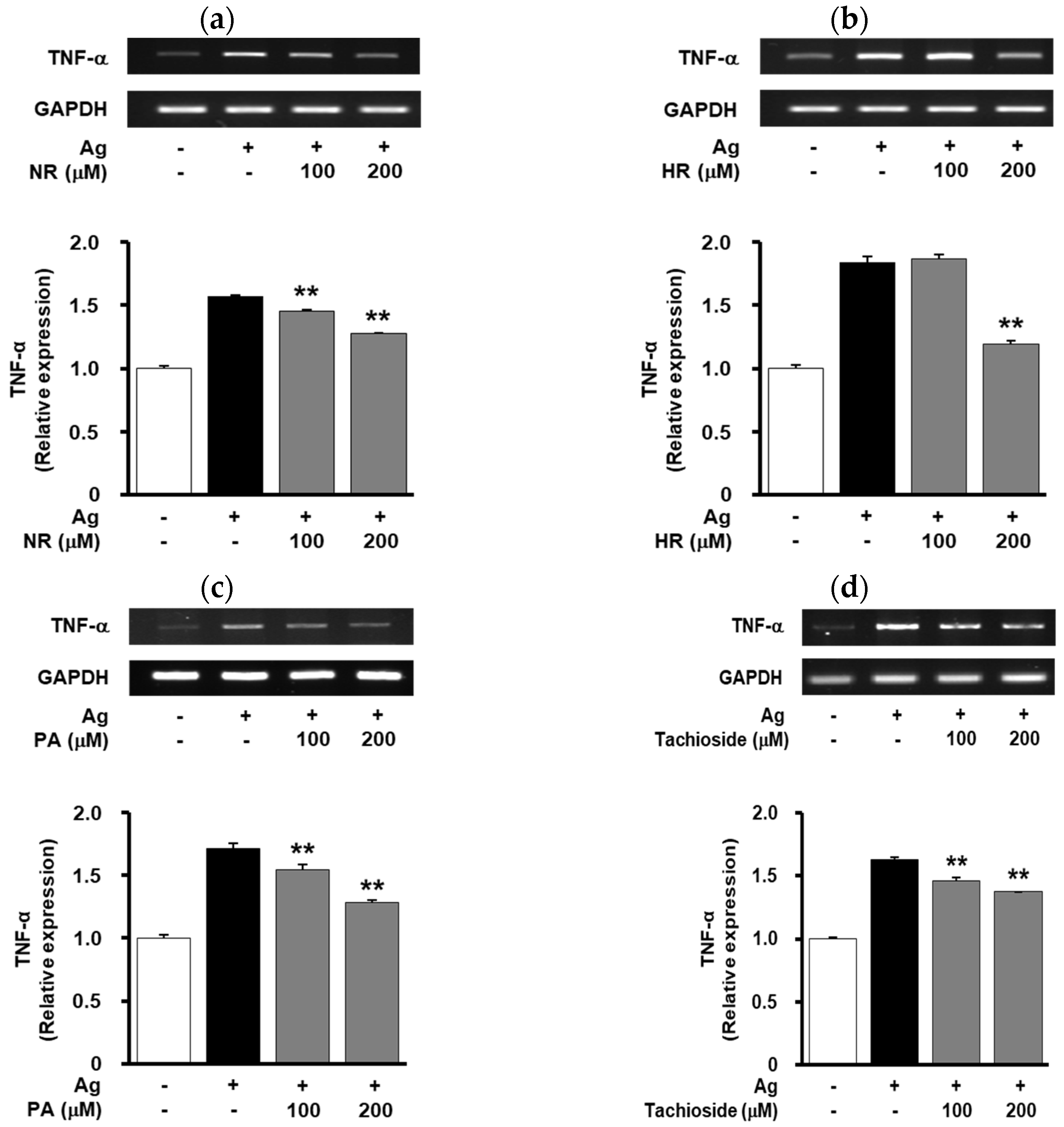 Molecules 25 03997 g005 Molecules 25 03997 g005