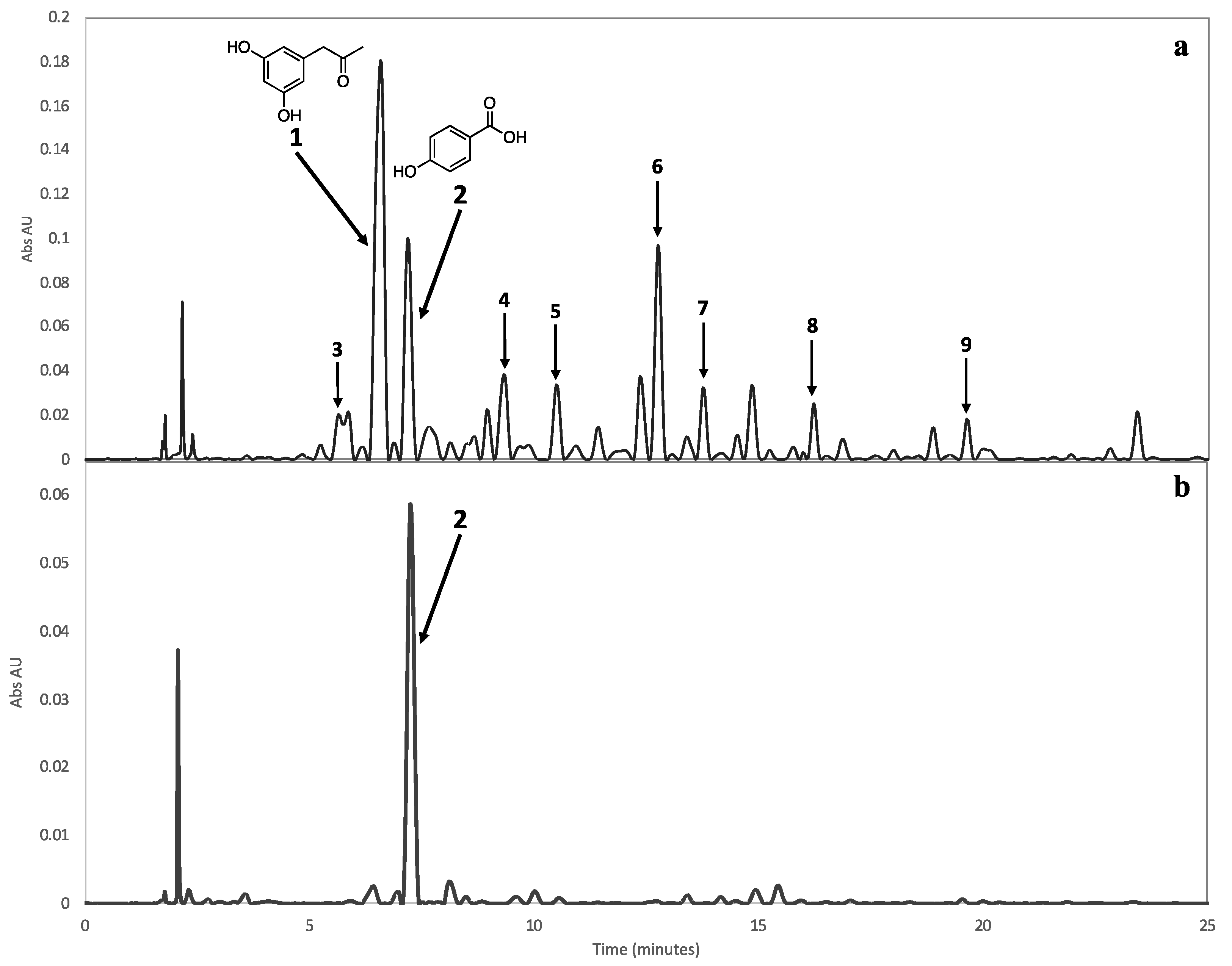 Molecules 25 04003 g004 Molecules 25 04003 g004