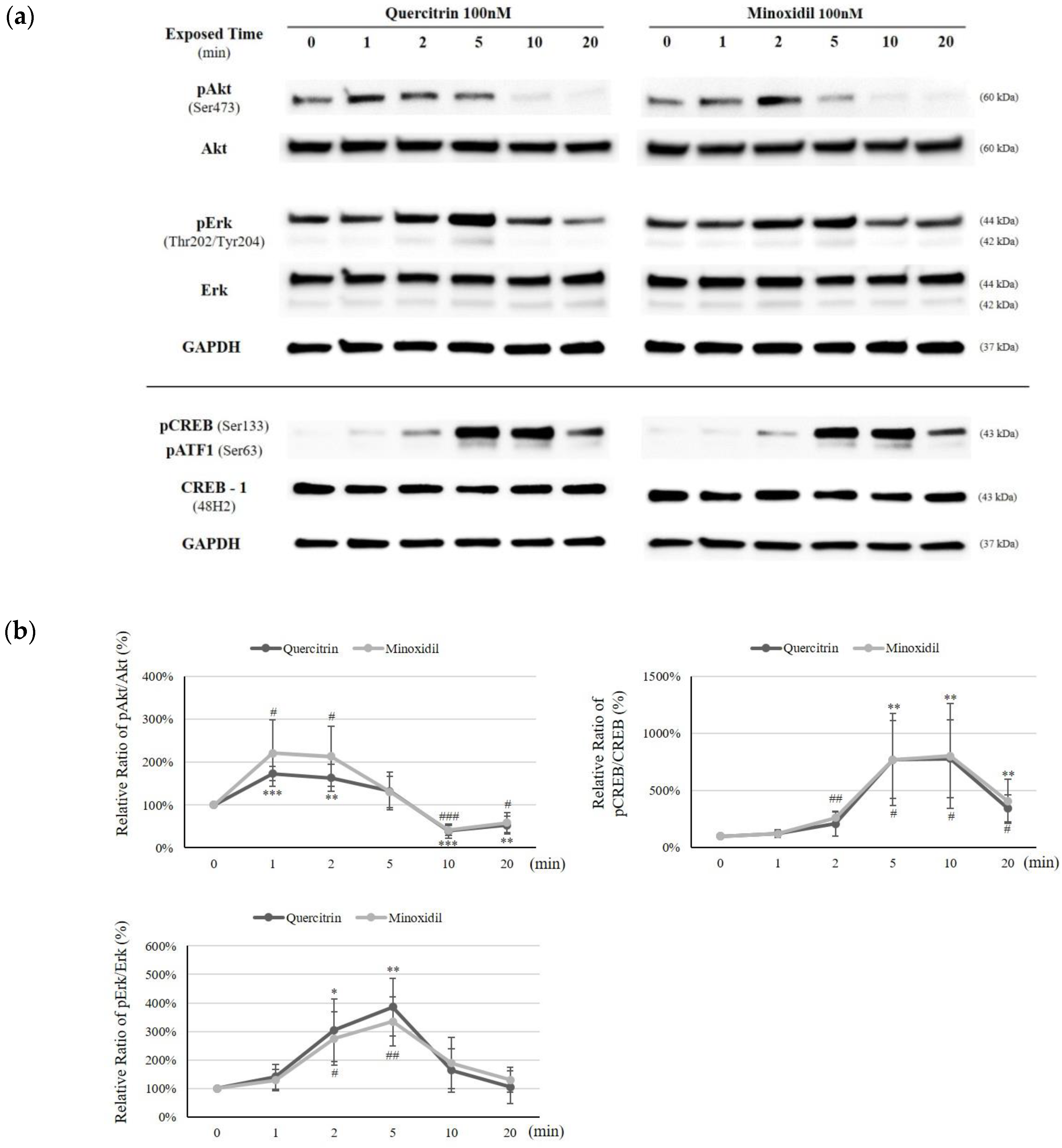 Molecules 25 04004 g007