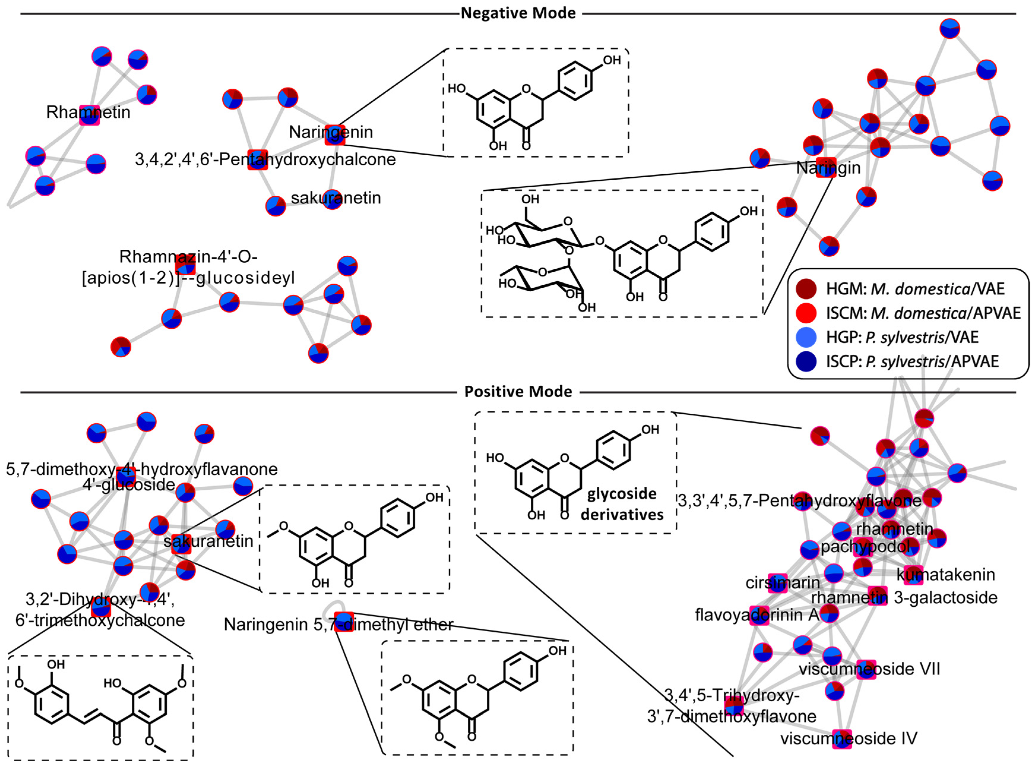 Molecules 25 04006 g006 Molecules 25 04006 g006