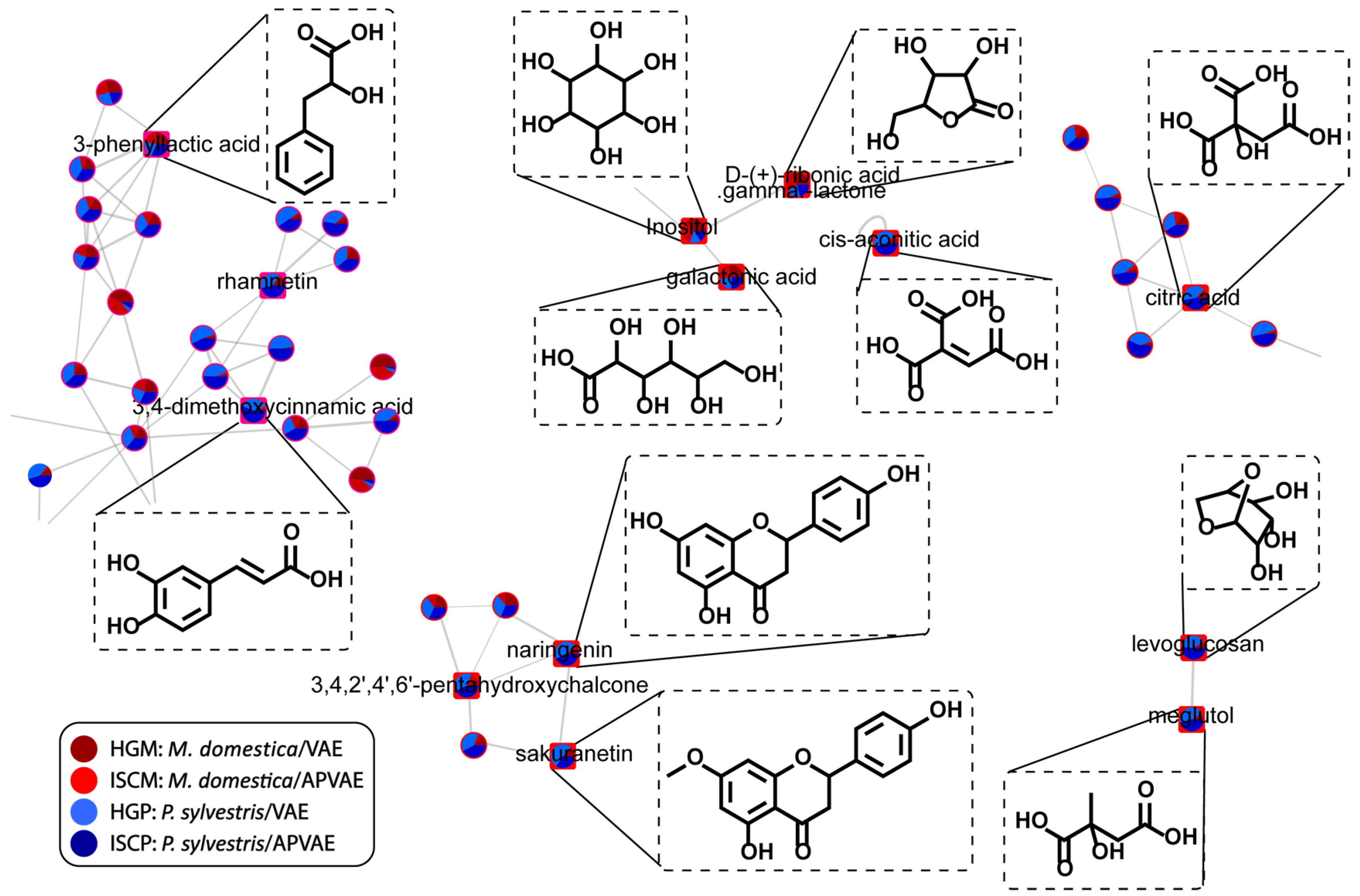 Molecules 25 04006 g007 Molecules 25 04006 g007